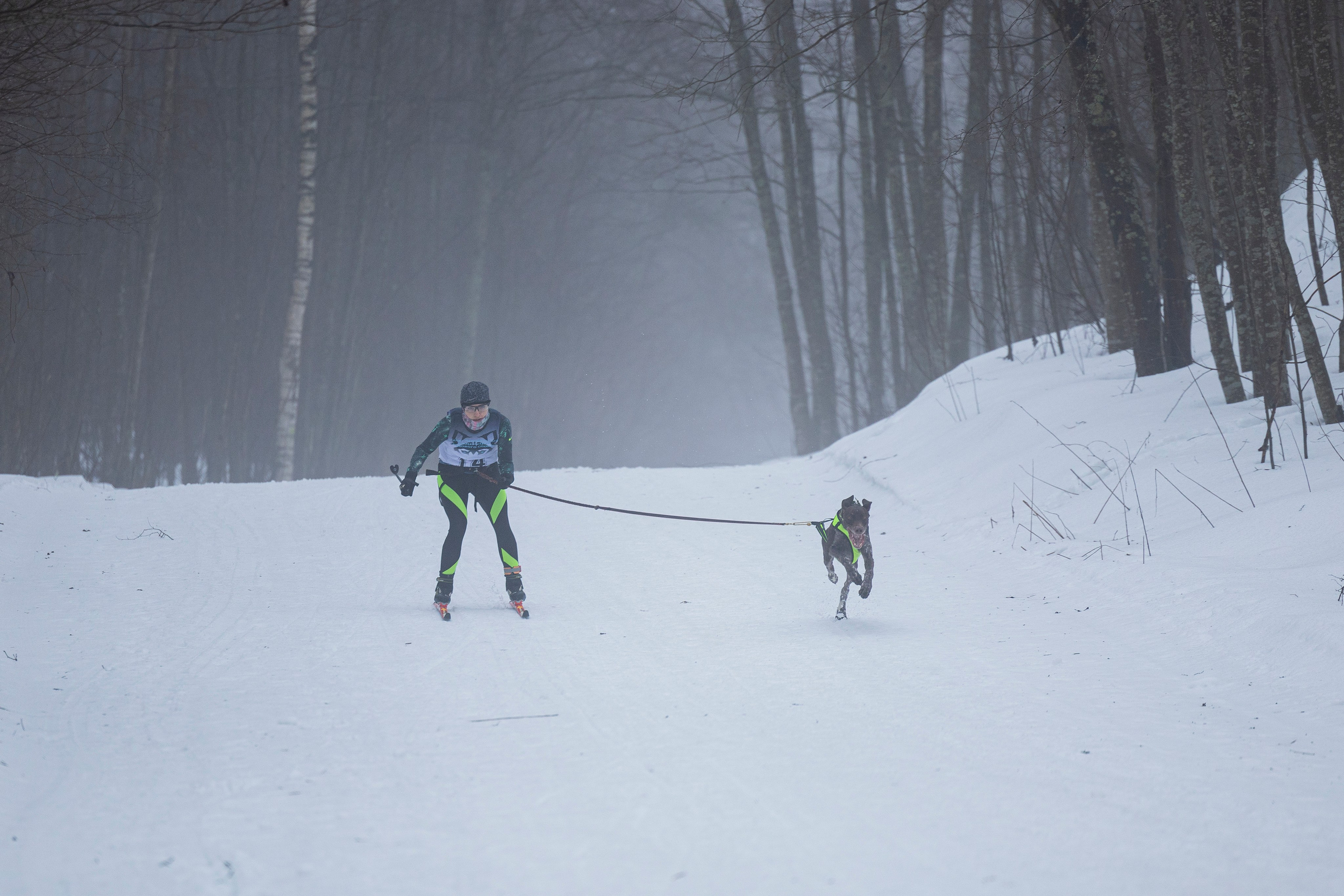 Зимний Чемпионат Санкт-Петербурга по ездовому спорту. Фотограф-анималист Анна Маринич