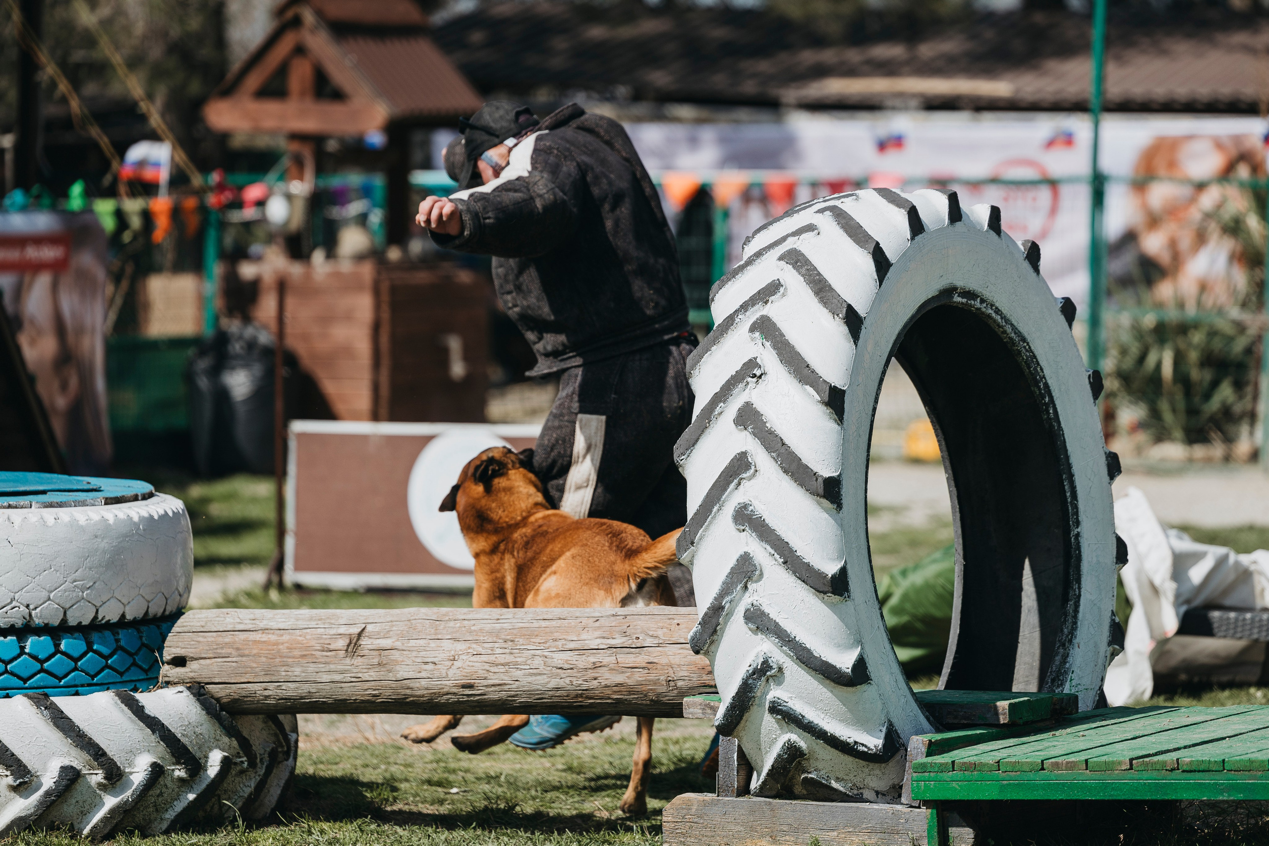 Геленджик Мондьоринг. Фотограф-анималист Анна Маринич