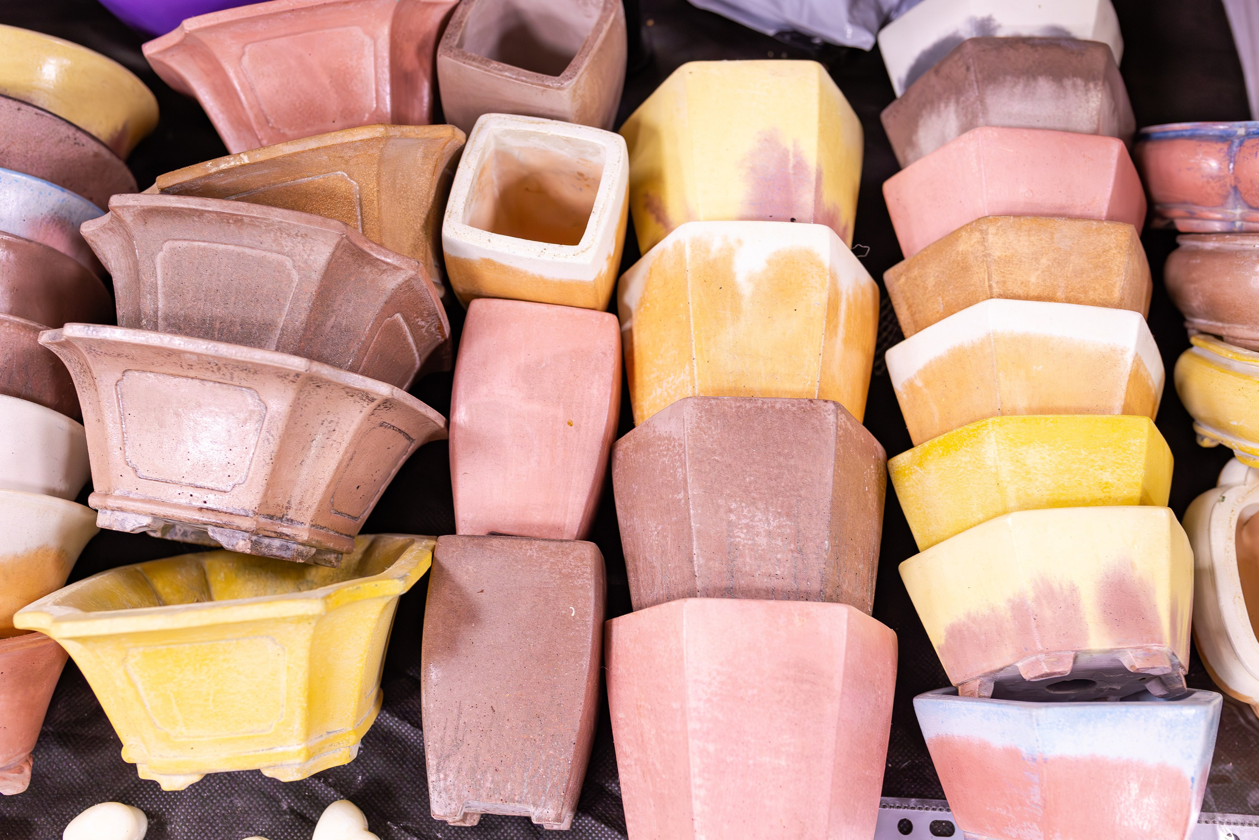 Орхидиум сентябрь 2025. Александра Куликова фотограф, Москва