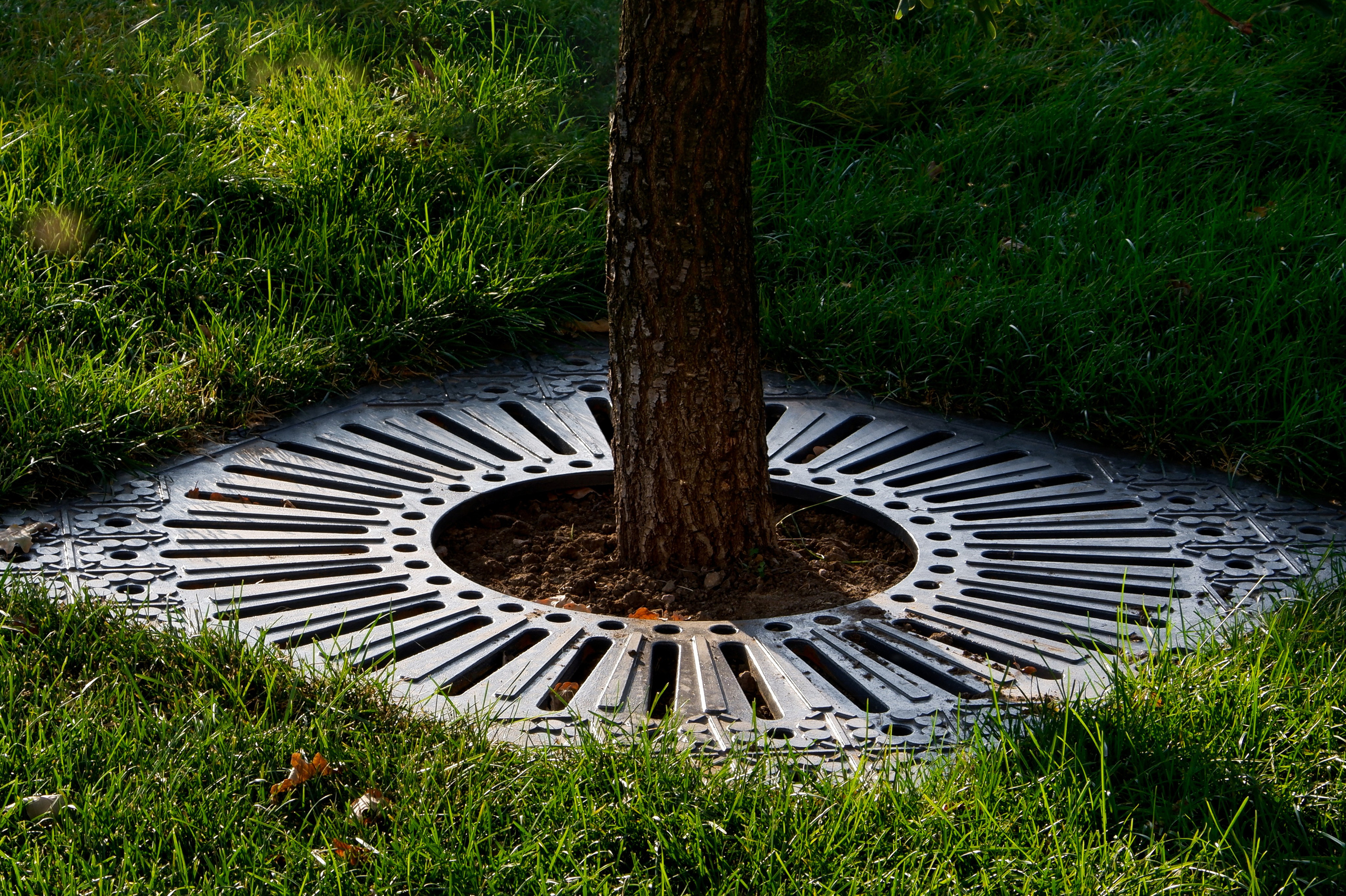 Лыбедский бульвар. Михаил Мулач | Архитектурный фотограф