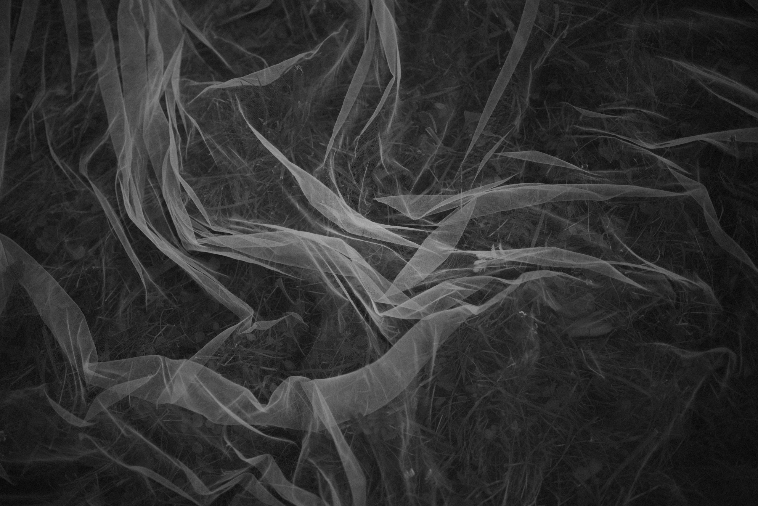 Олег и Саша. Свадебный и портретный фотограф в Брянске и Москве Алина Химушкина