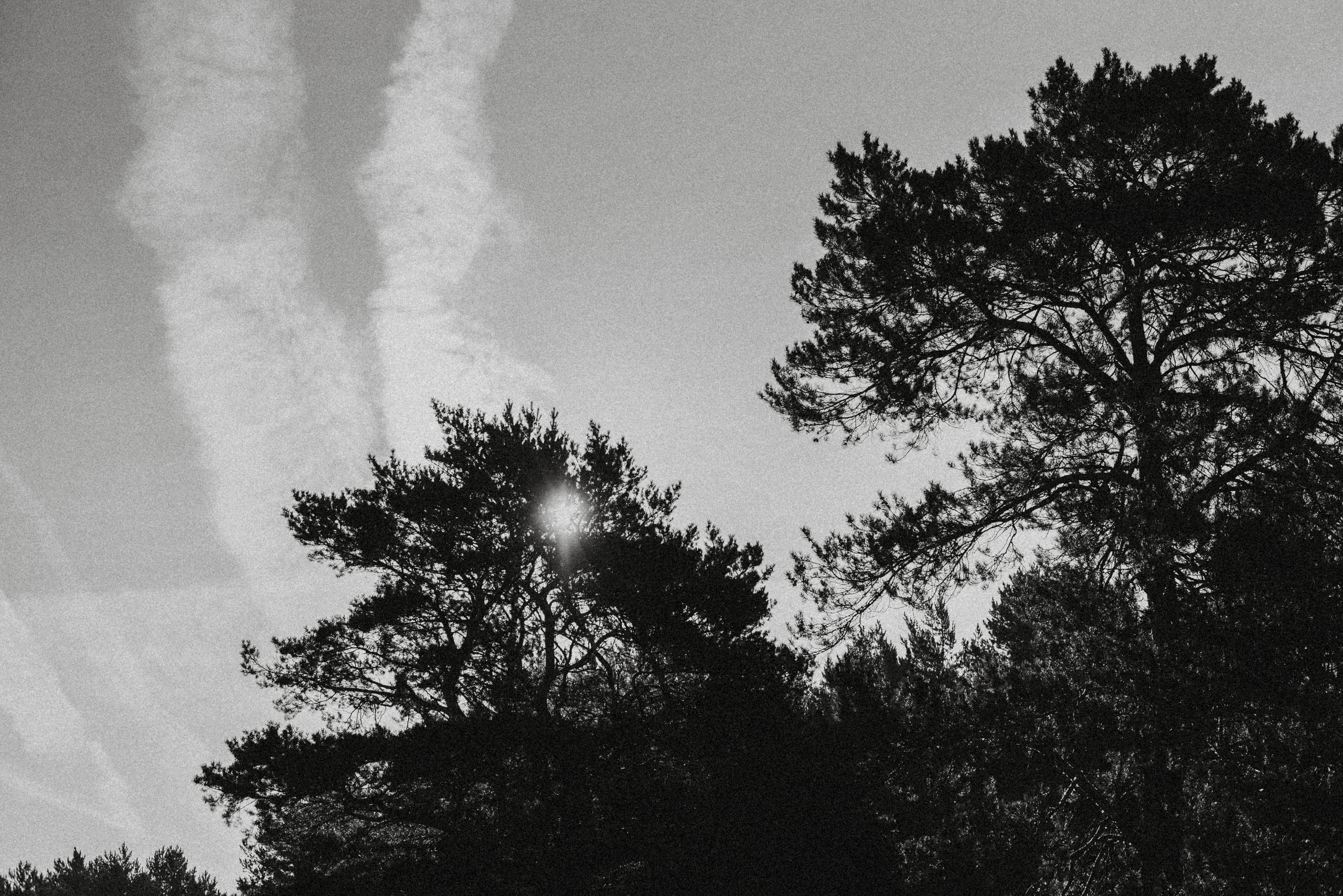 Canada Park. Главная