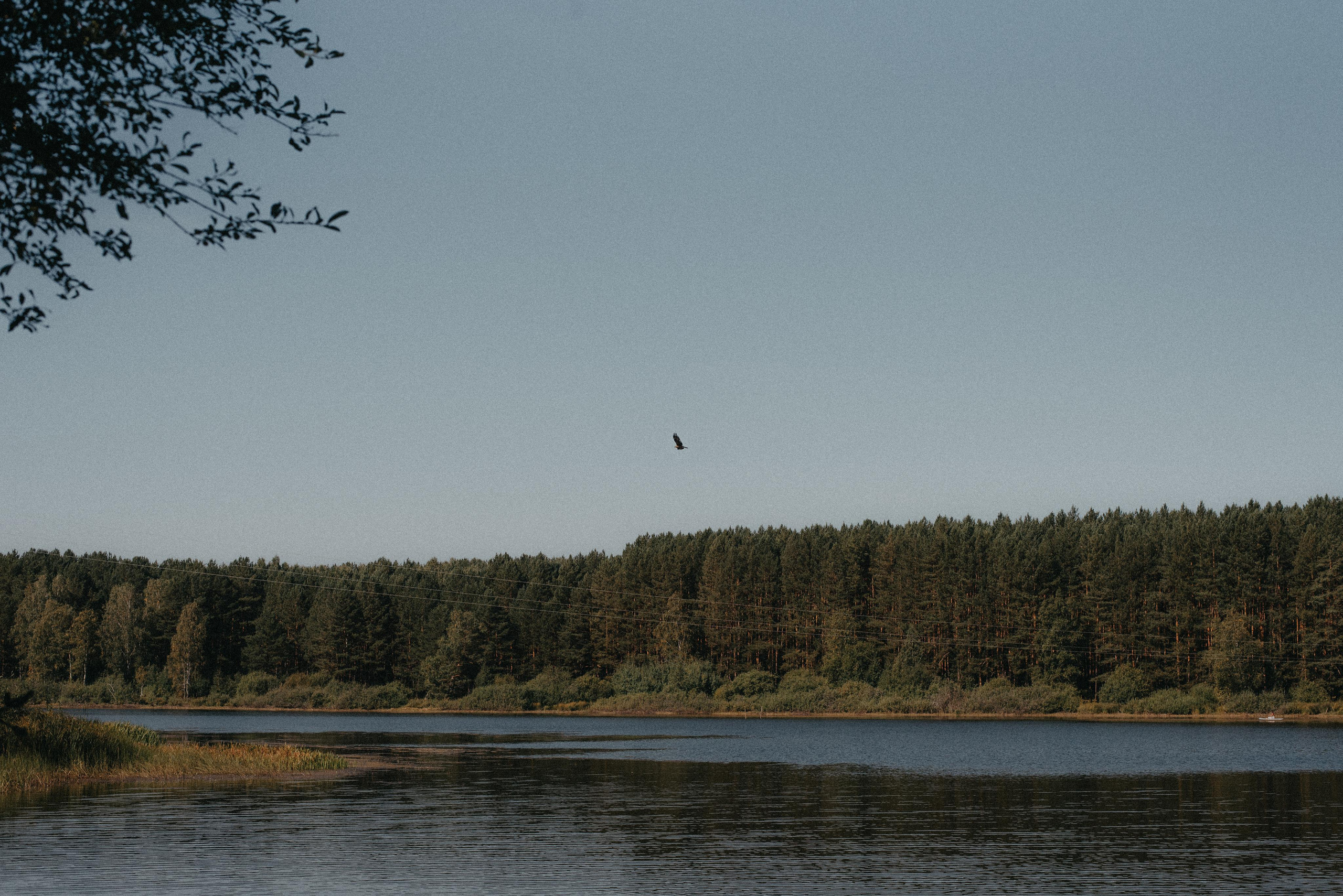 Canada Park. Главная