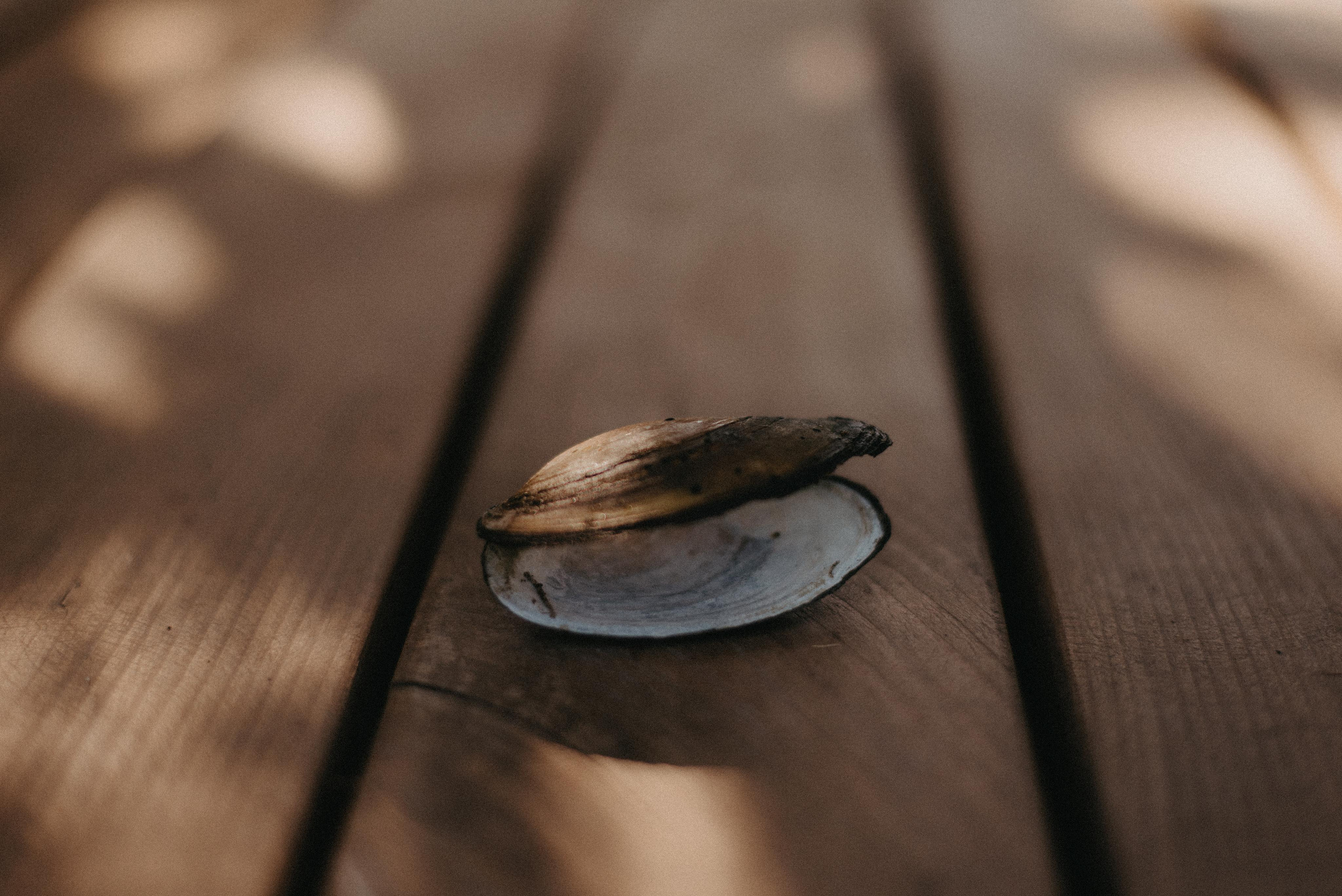 Canada Park. Главная