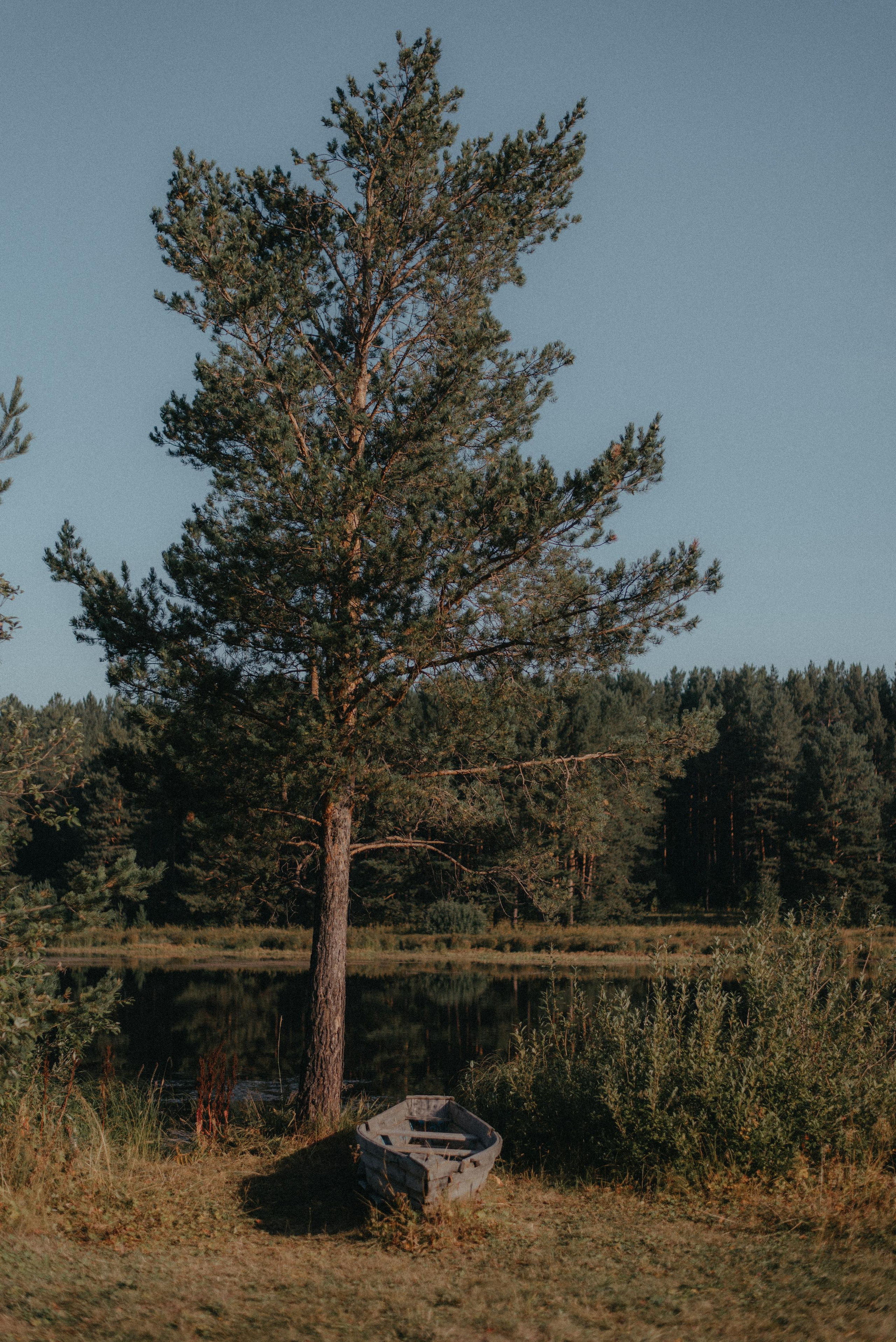 Canada Park. Главная