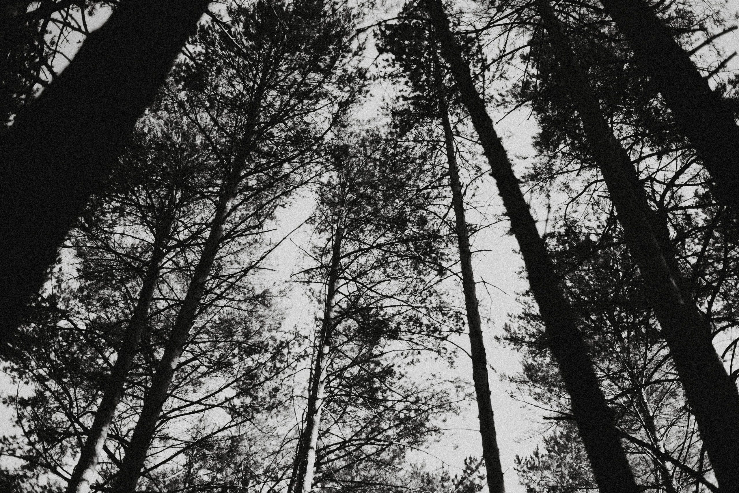 Canada Park. Главная