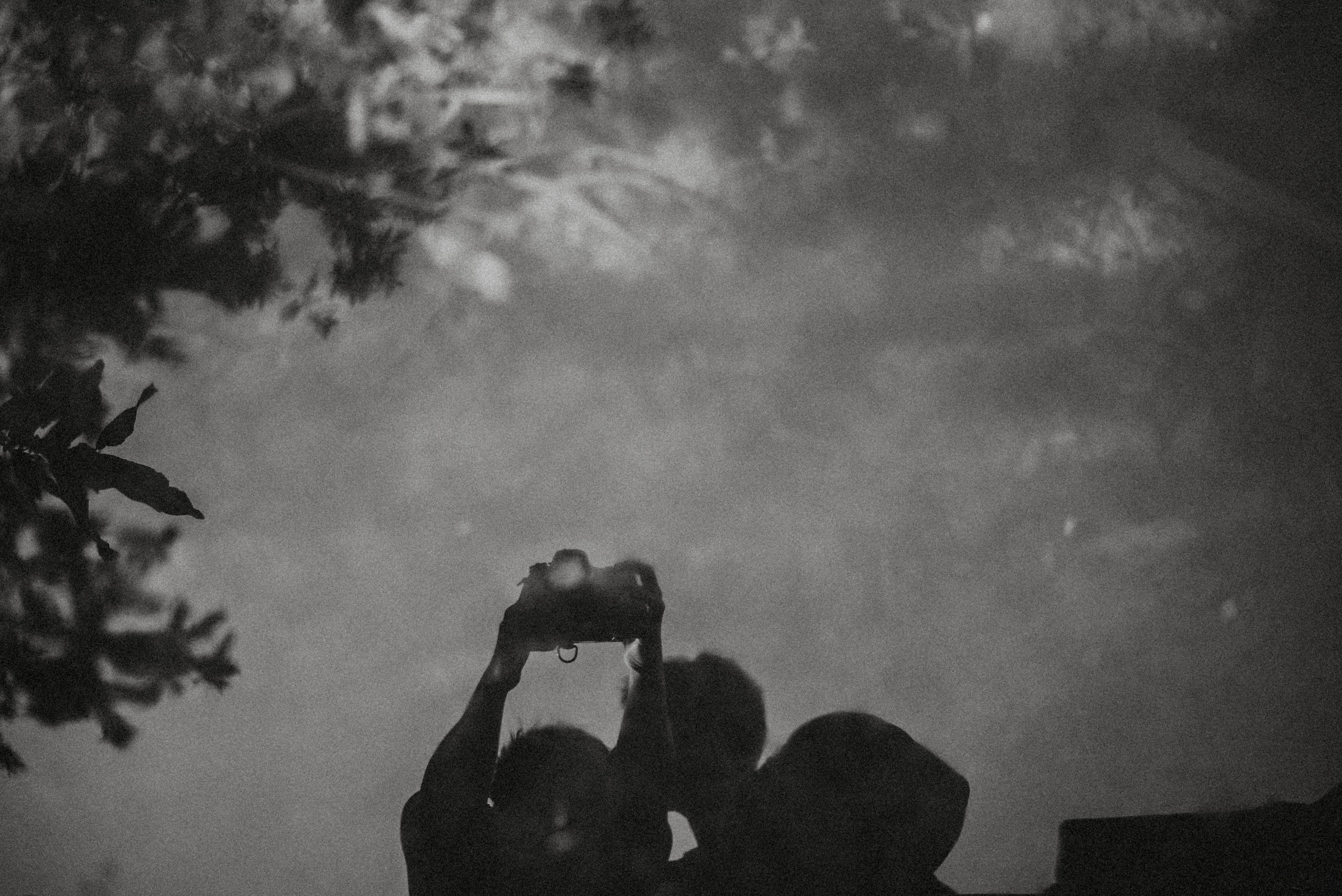 Canada Park. Главная