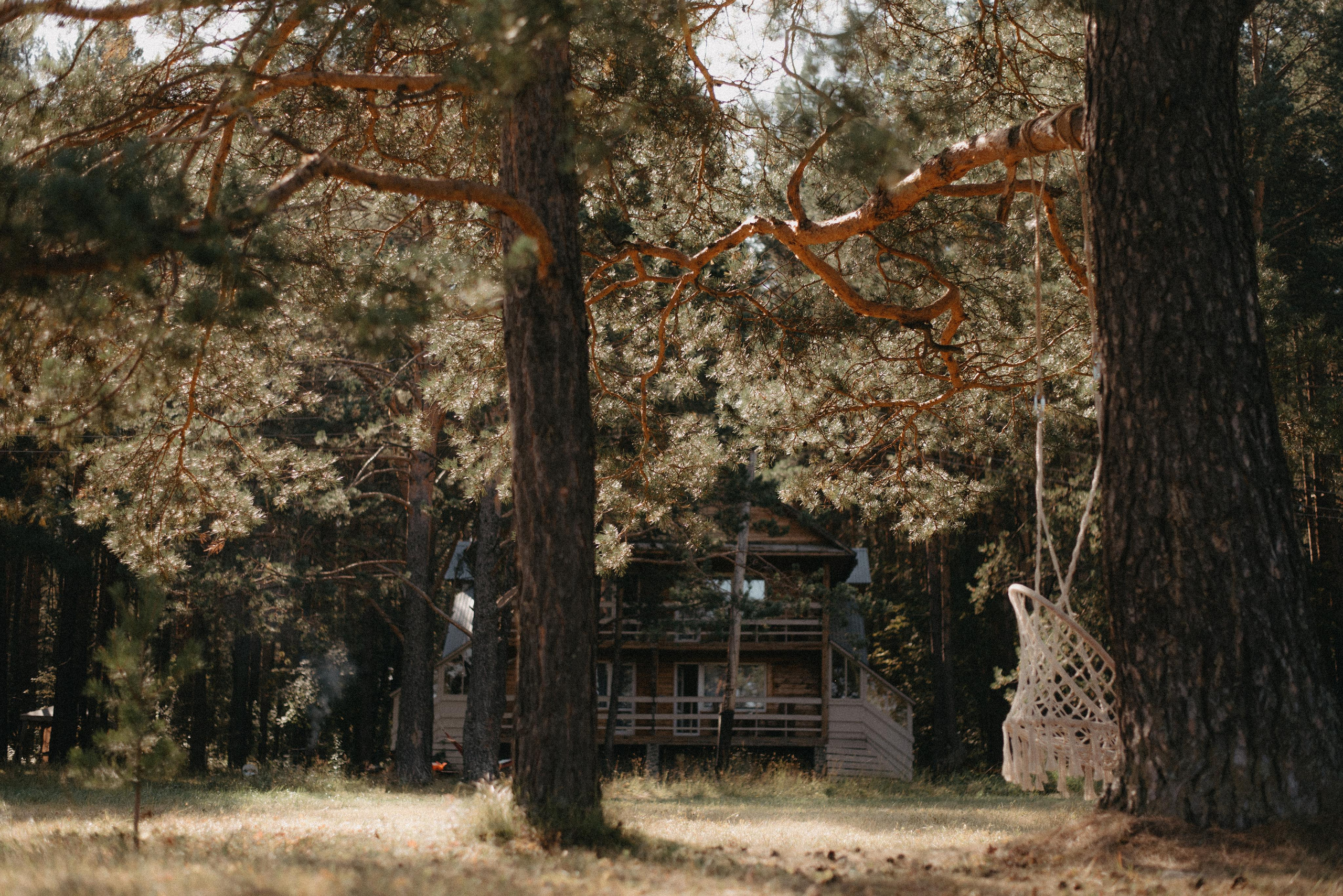 Canada Park. Главная