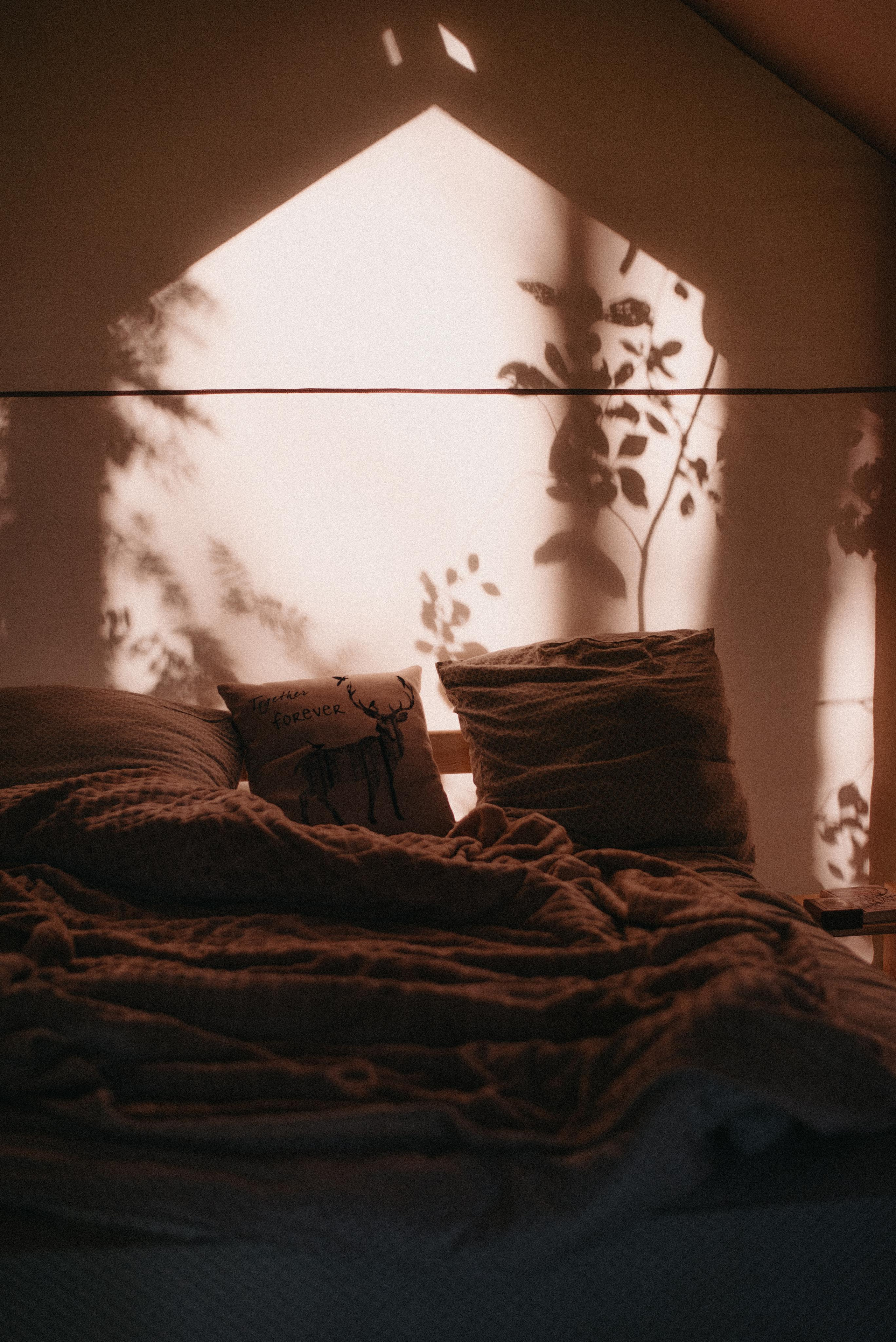 Canada Park. Главная