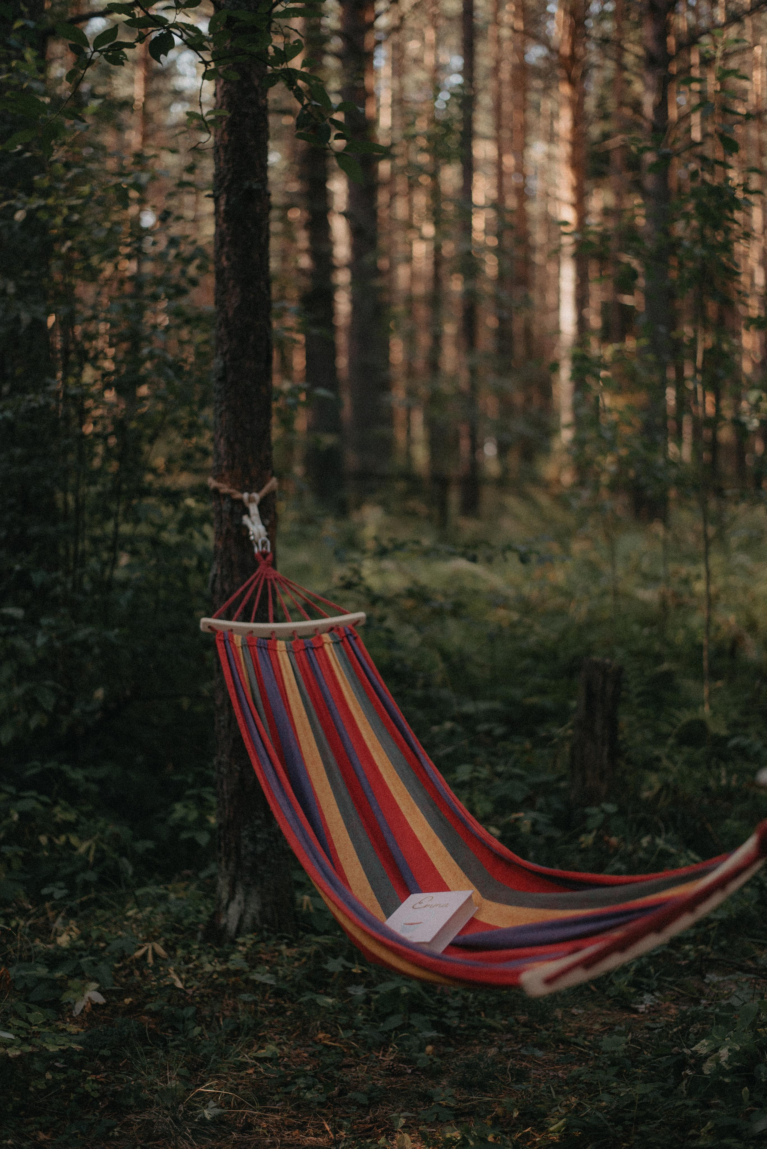 Canada Park. Главная