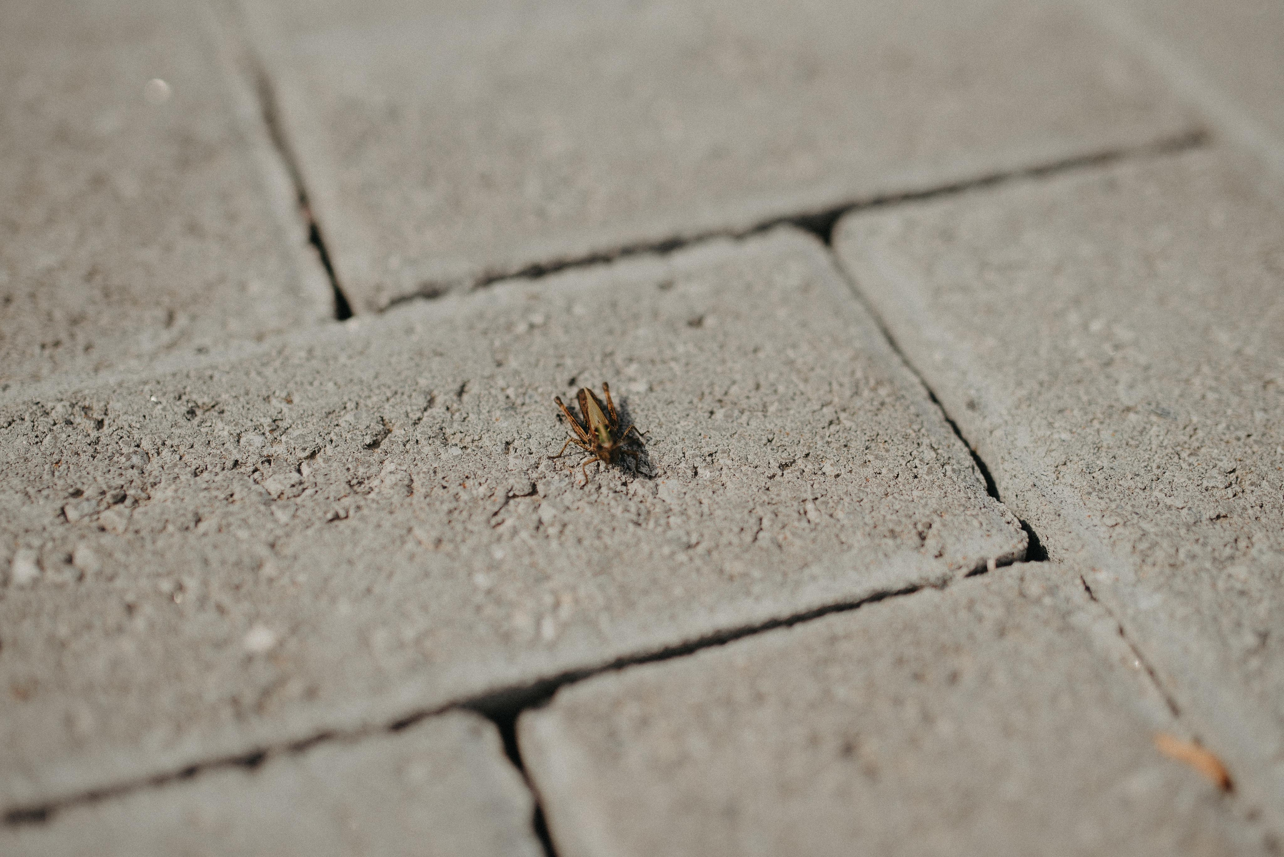 Свадьба Влада и Жени. Главная