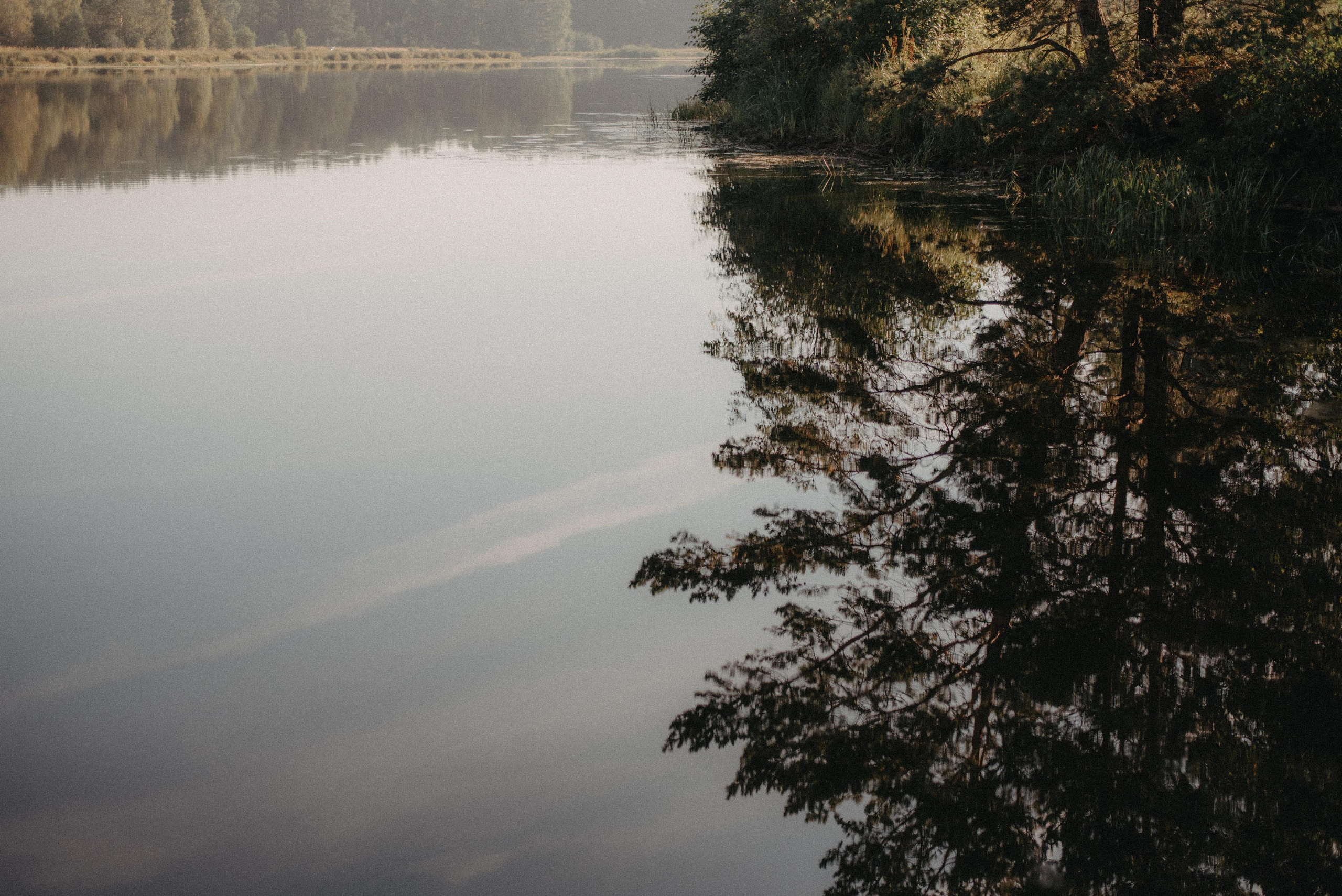Canada Park. Главная