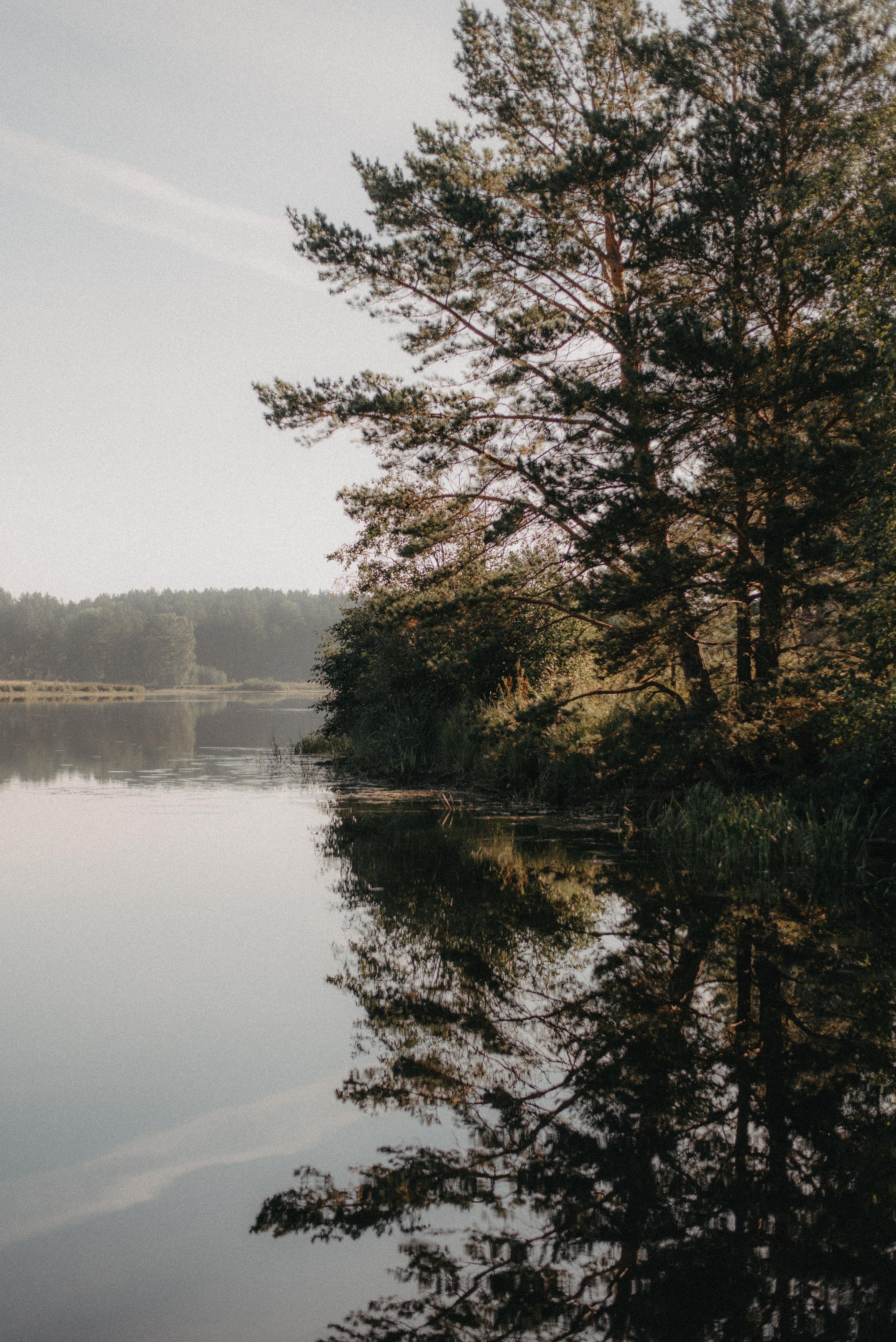 Canada Park. Главная