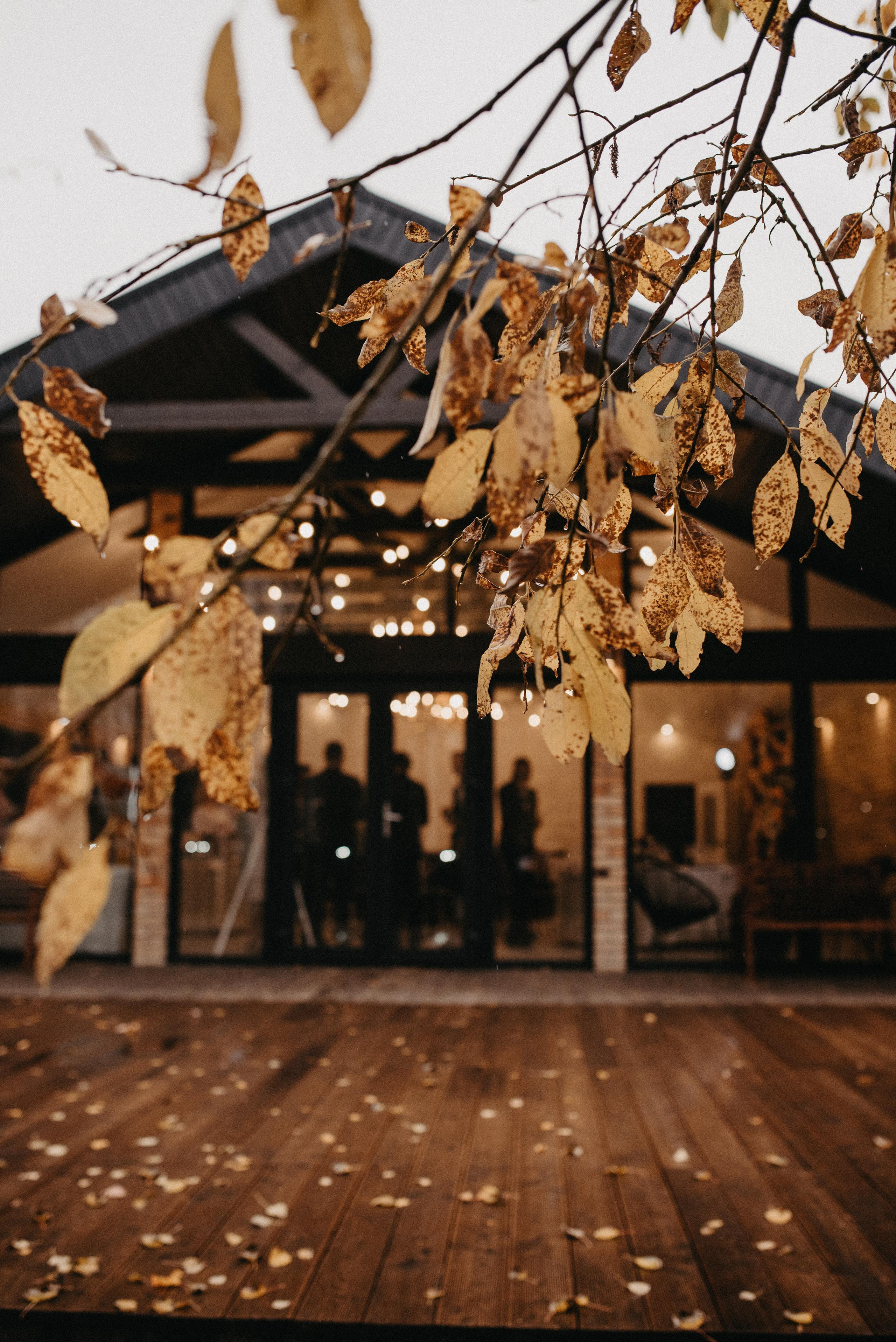 Рома и Аня. Главная