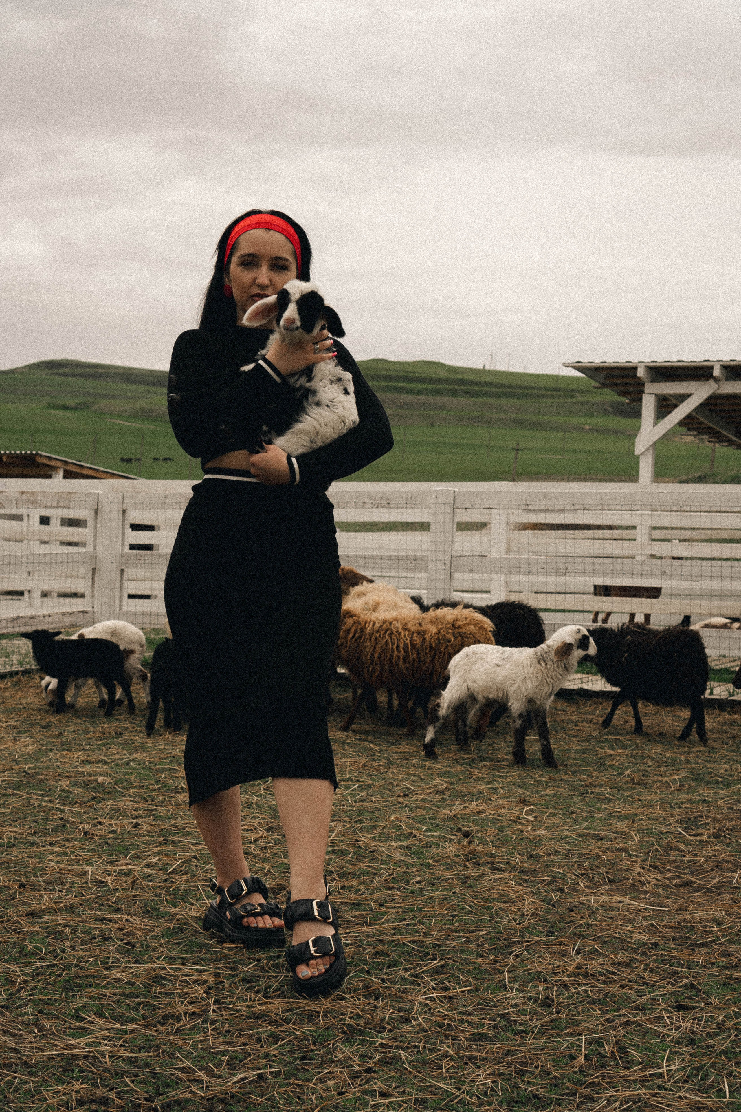 Ферма Альпак. Профессиональный фотограф, Санкт-Петербург — Виктория Богомолова