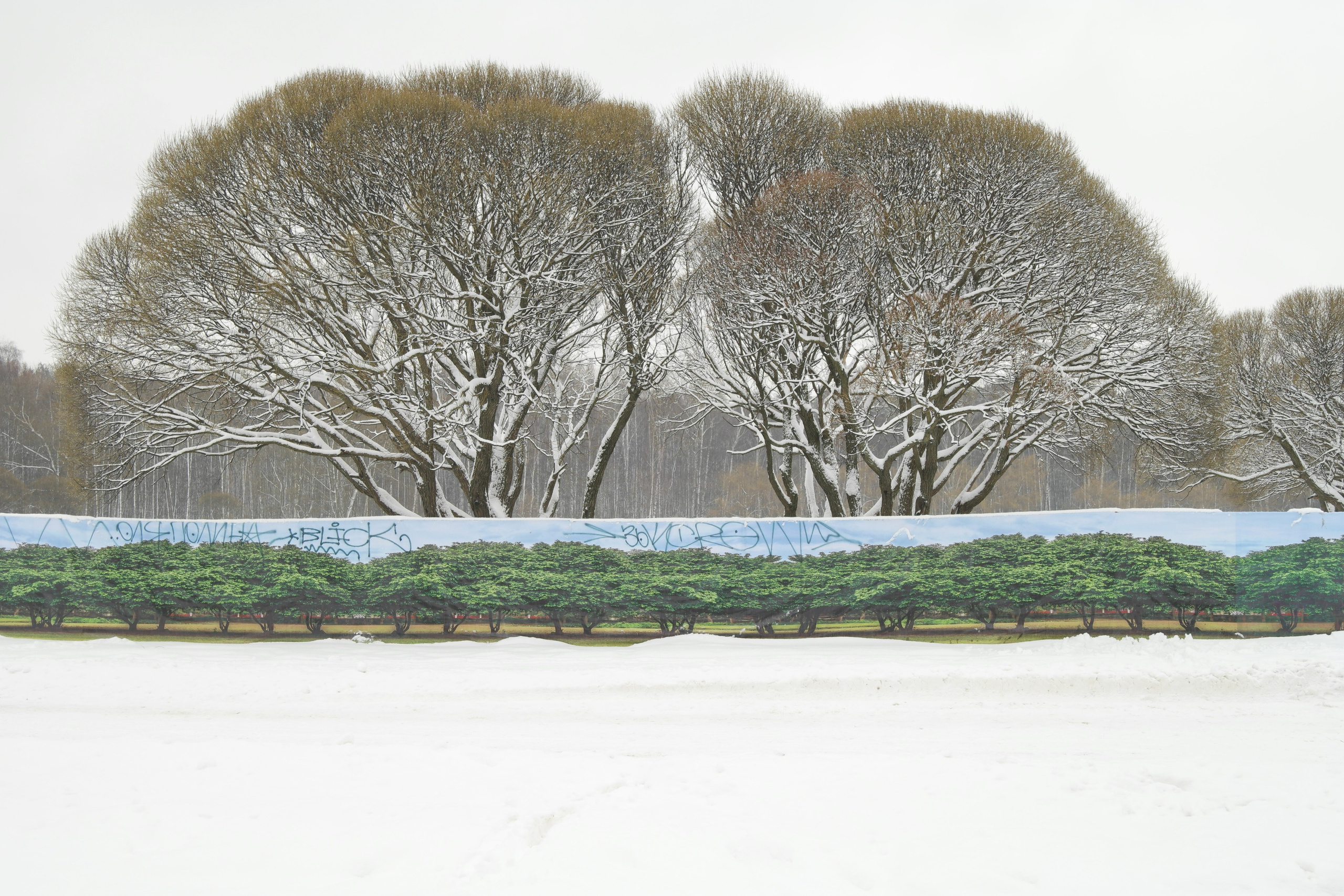 The Substitute Landscape. Vasiliy Riabovol — Fine Art Photographer | Time, Space, and Silence