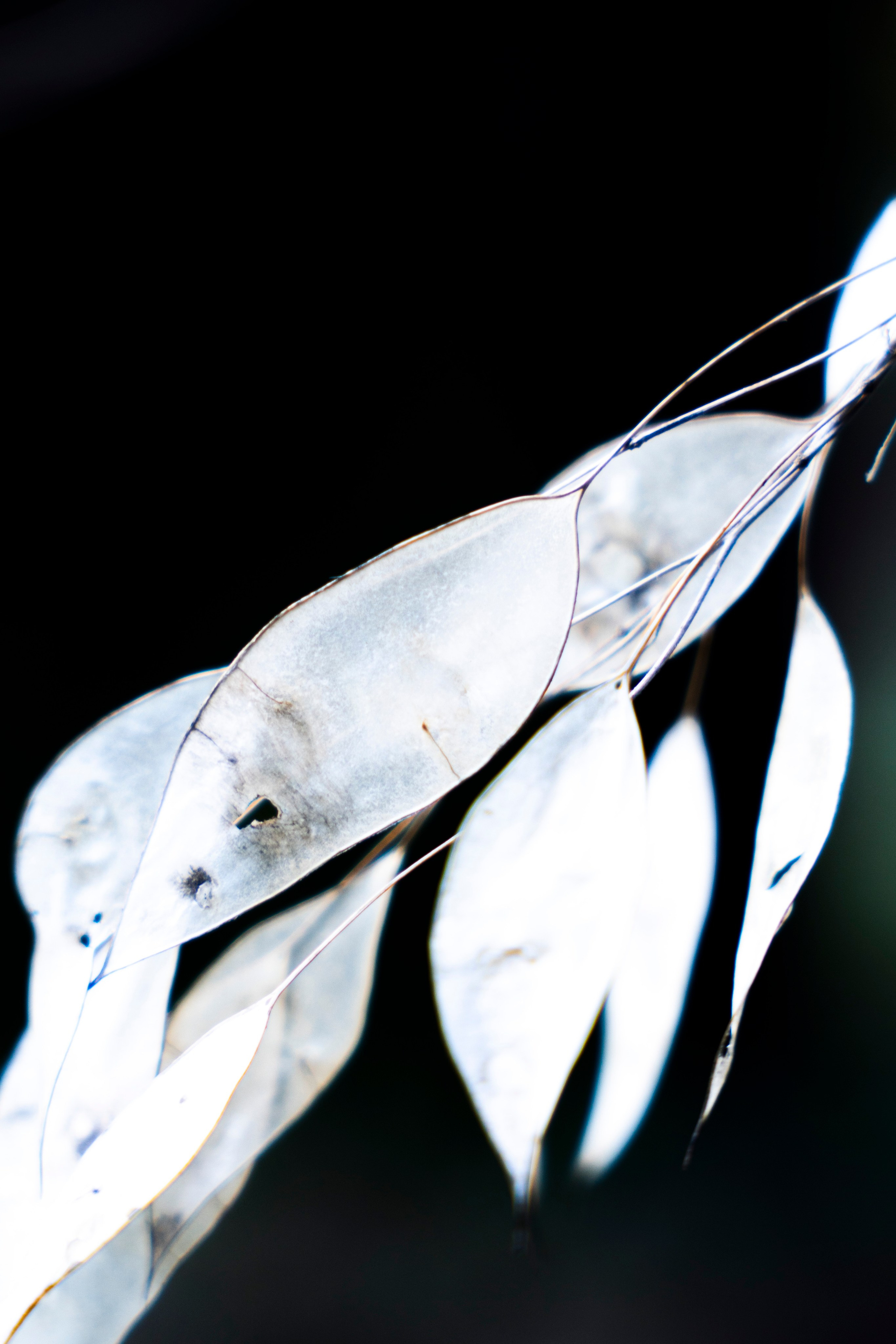 Разное неважное. Фотограф в Москве Алейникова Евгения