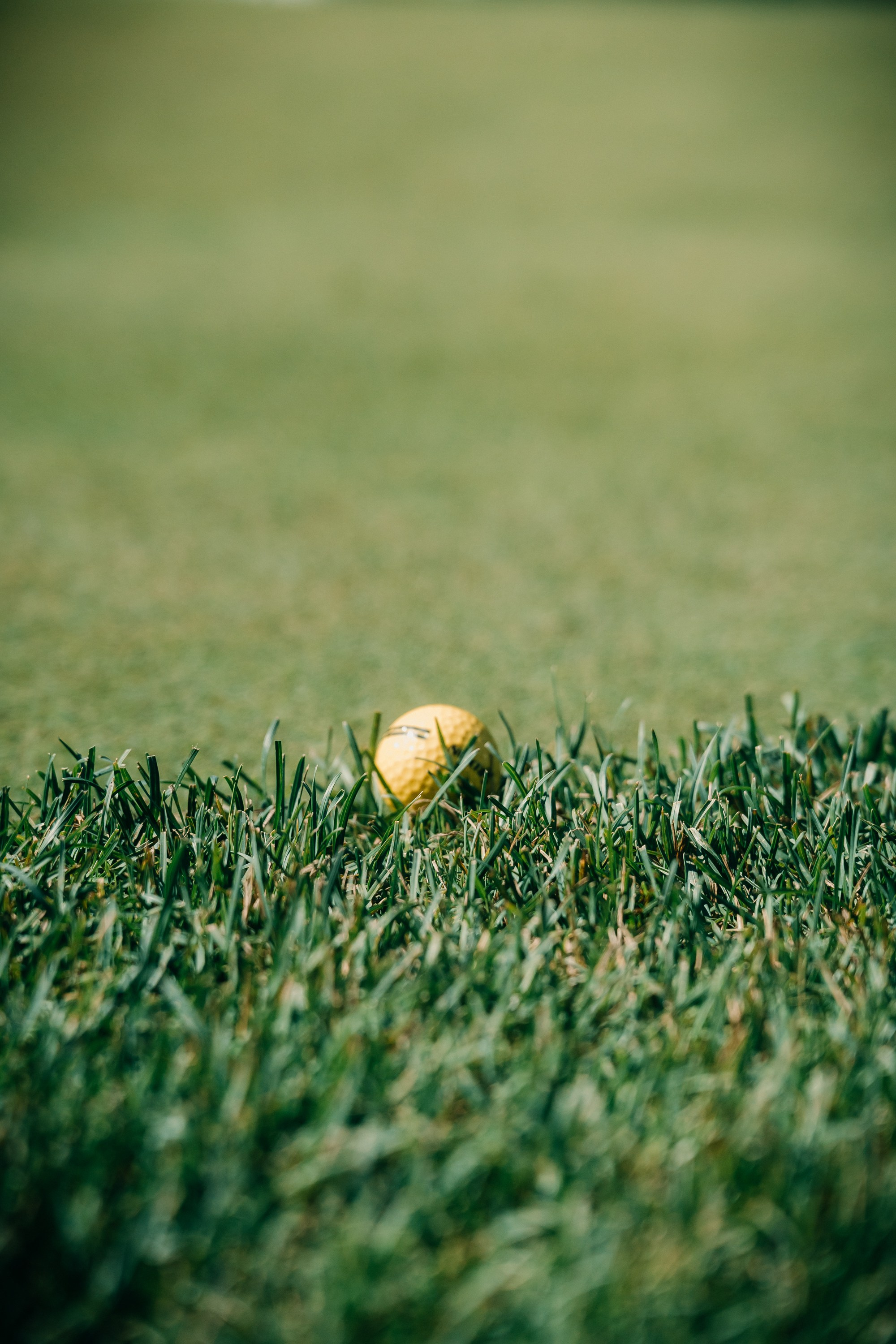 Гольф. Христолюбов Евгений Фотограф Москва