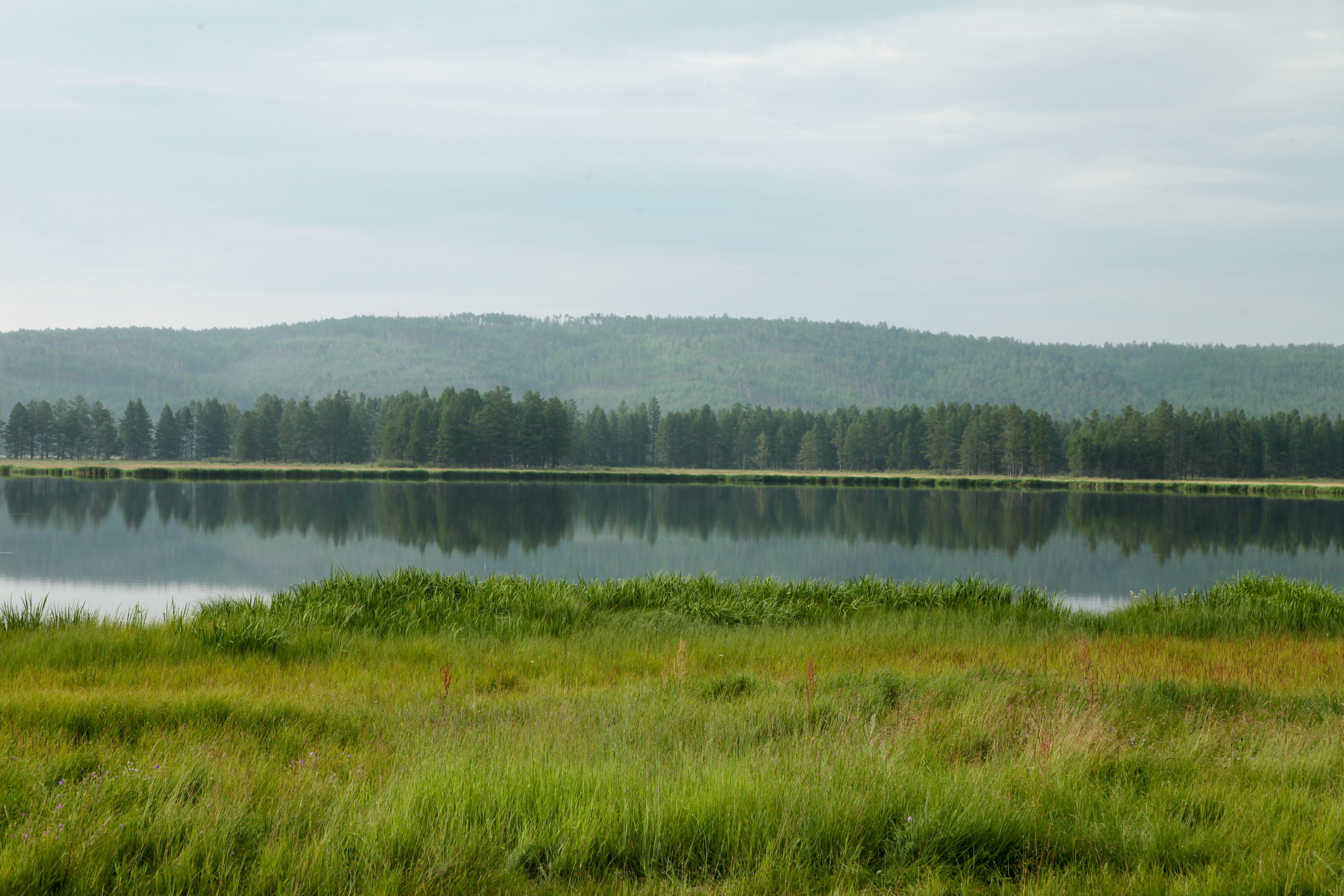 Фото Природы Забайкалья. Студия Максима Белослюдцева