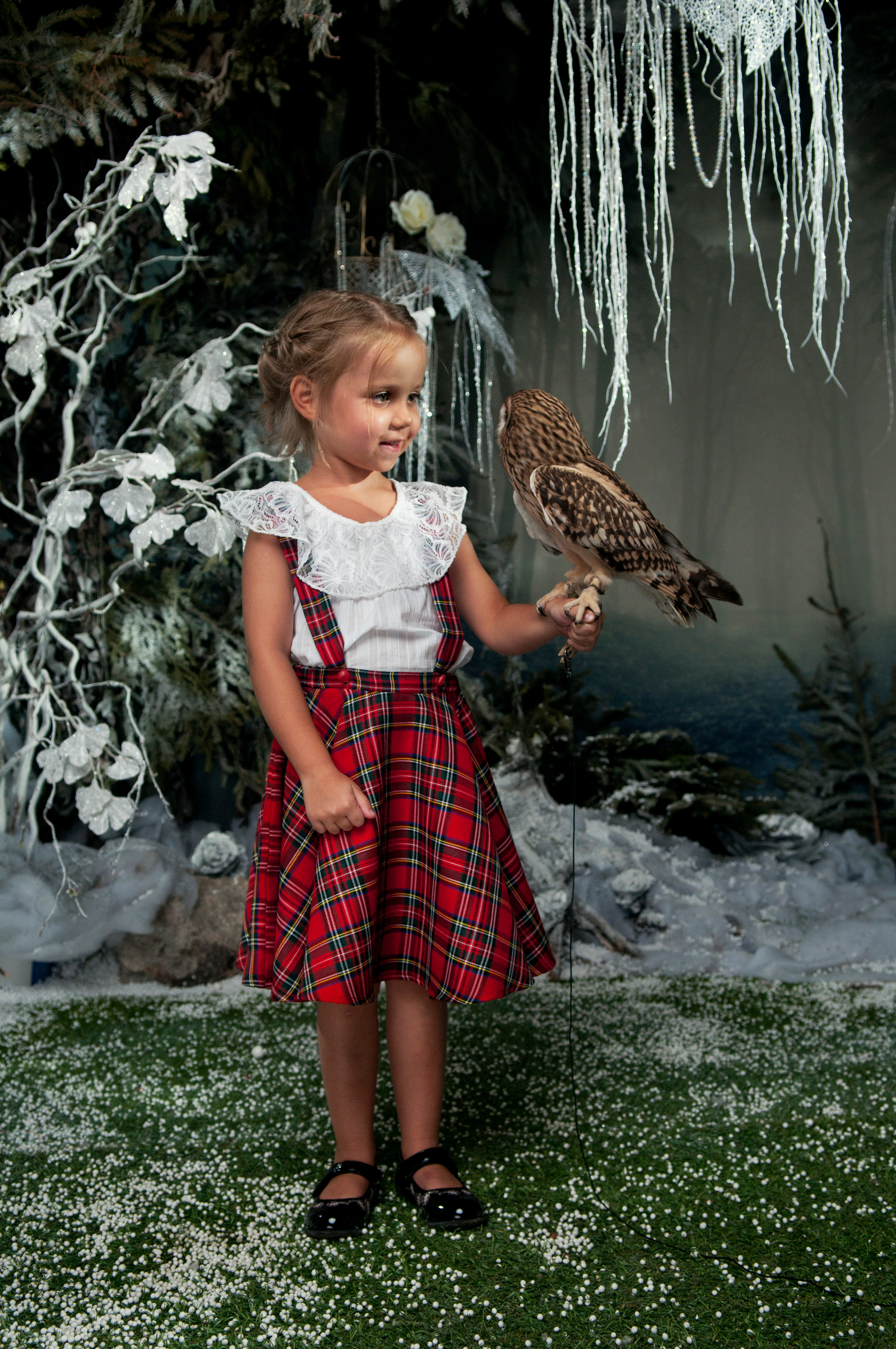 Сова. Главная