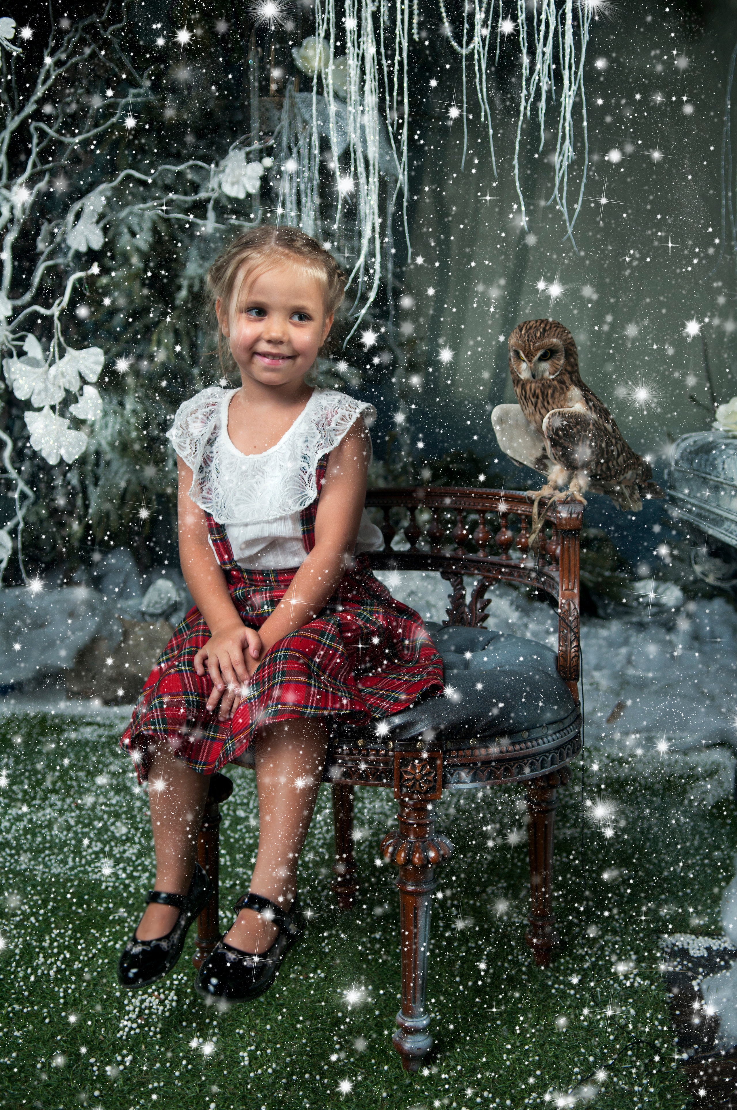 Сова. Главная