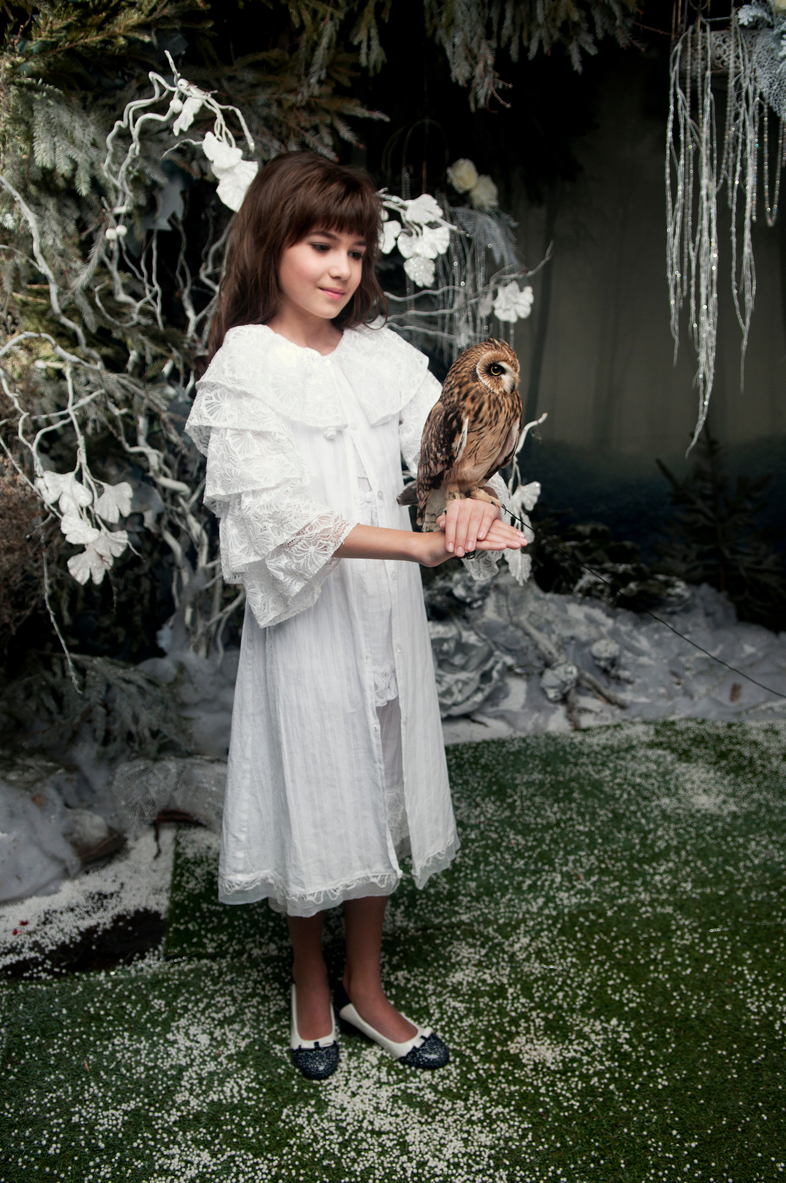 Сова. Главная