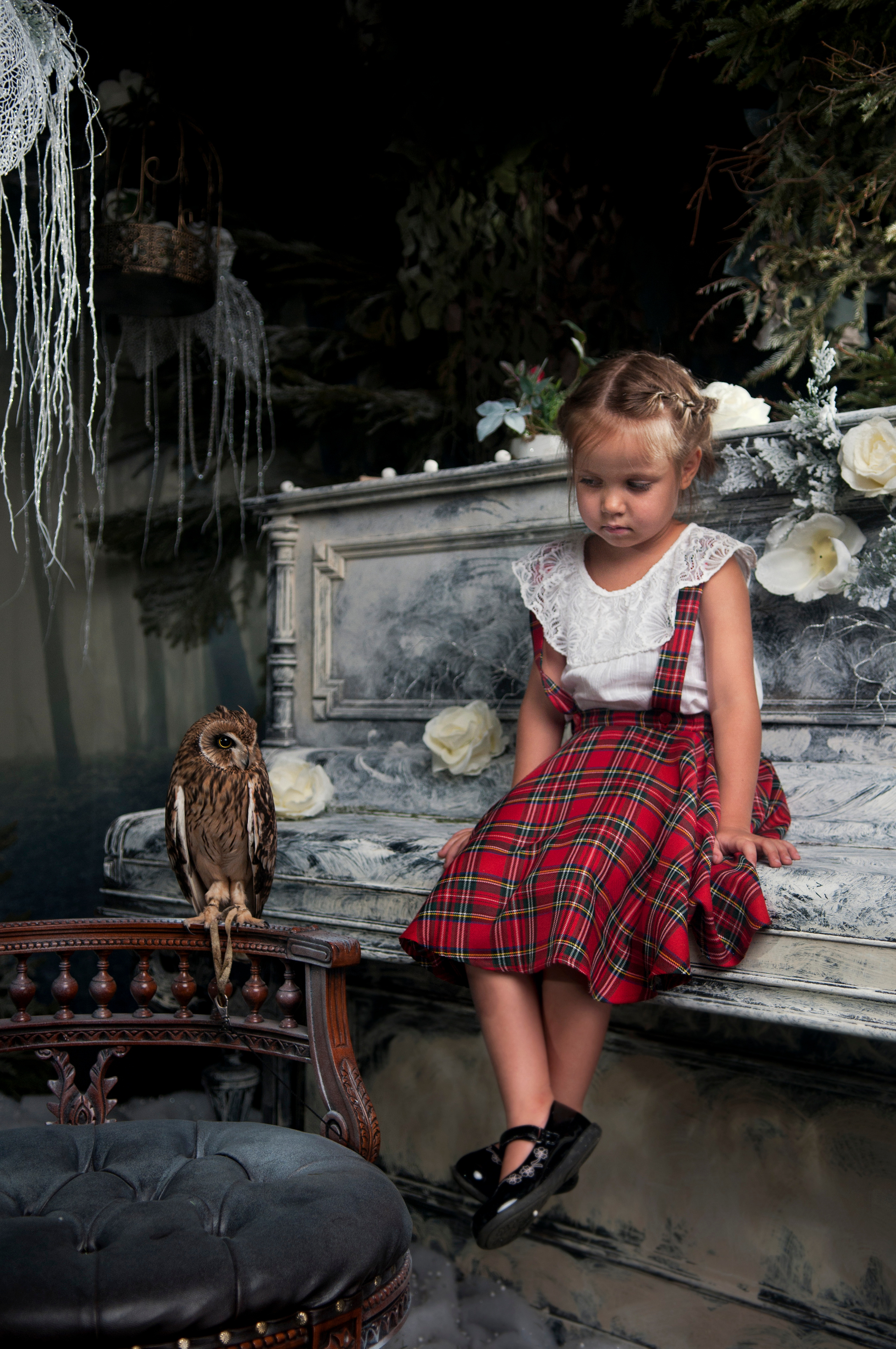 Сова. Главная