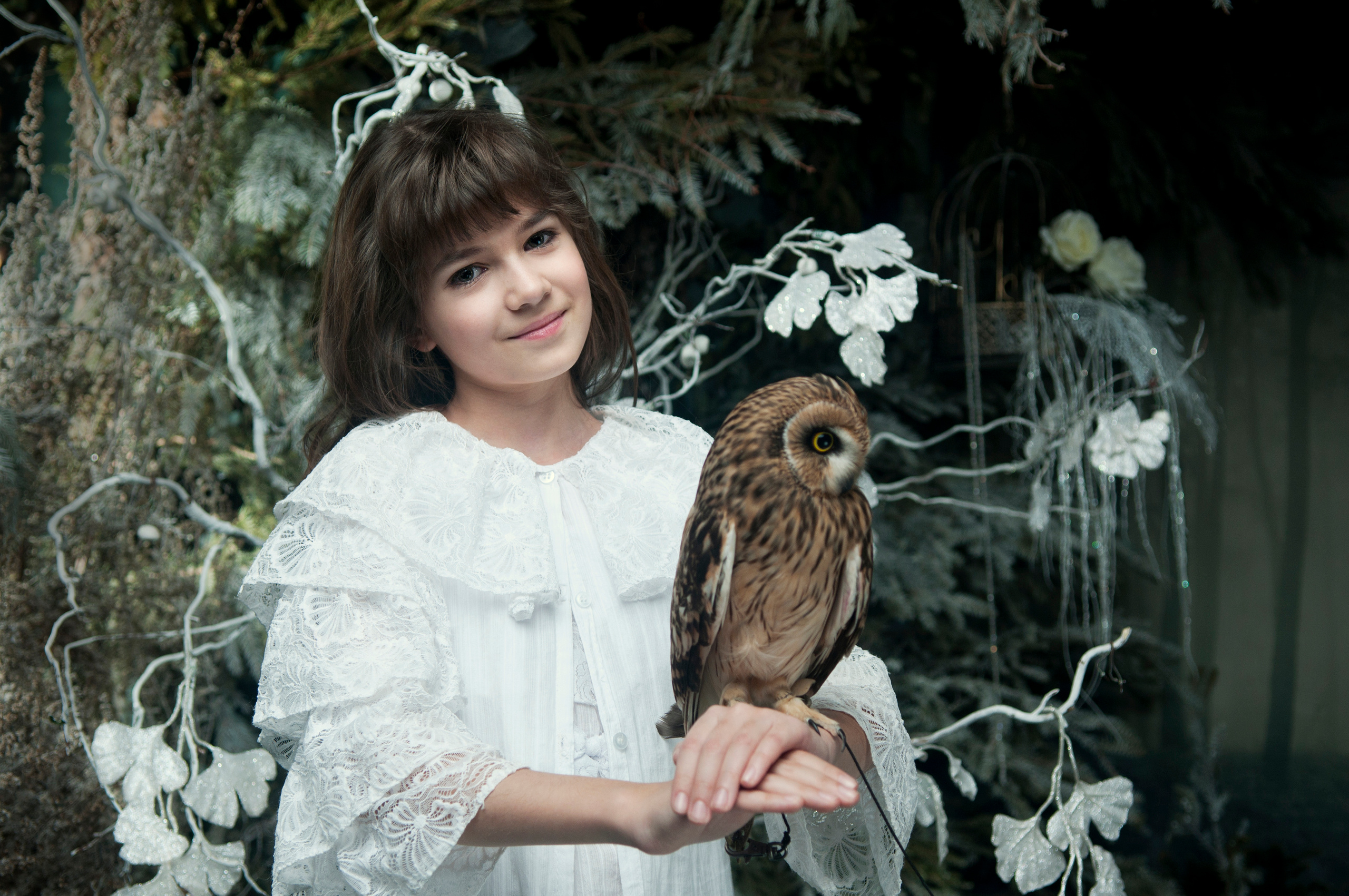 Сова. Главная