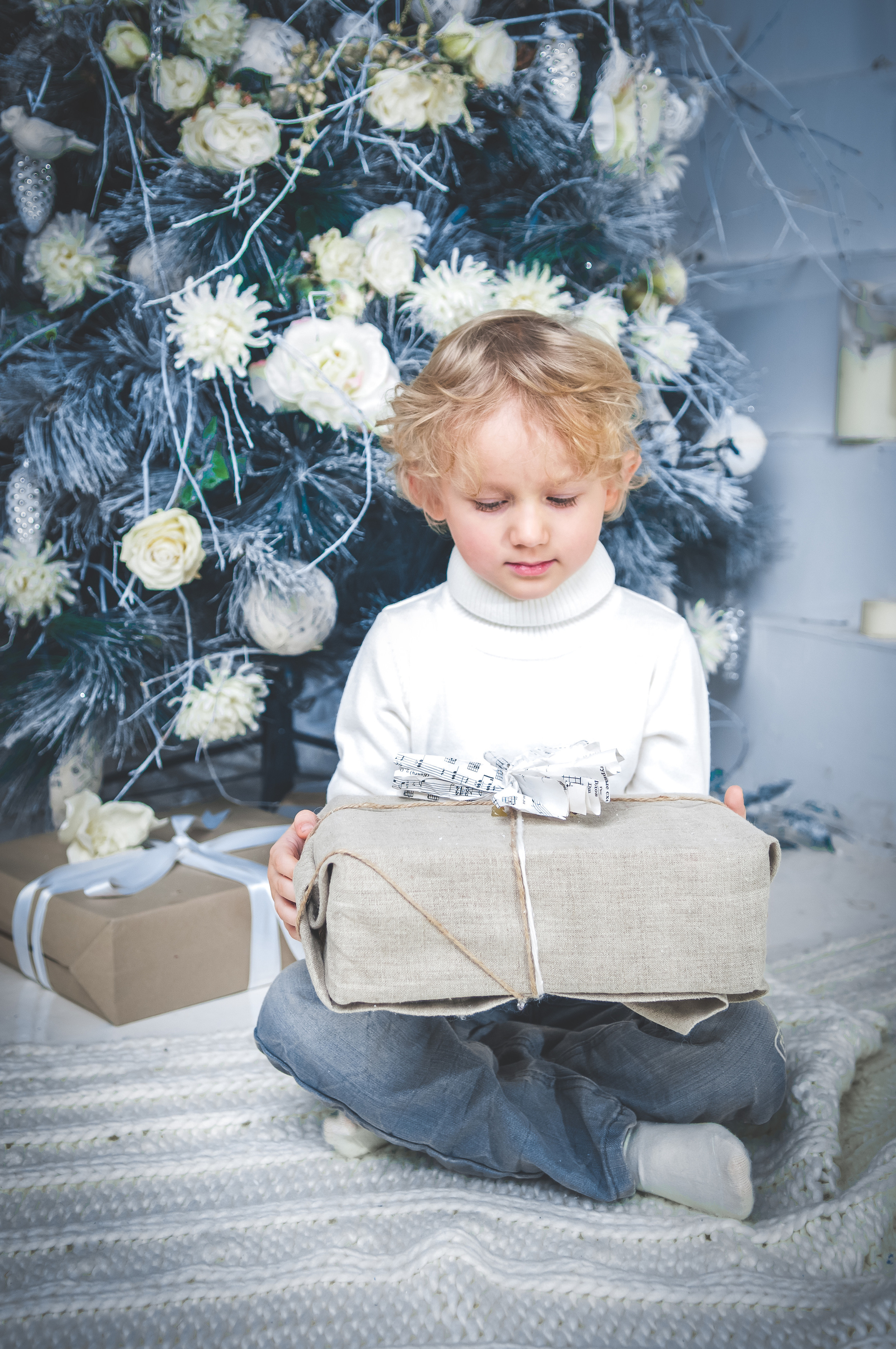 Зимние цвета. Главная