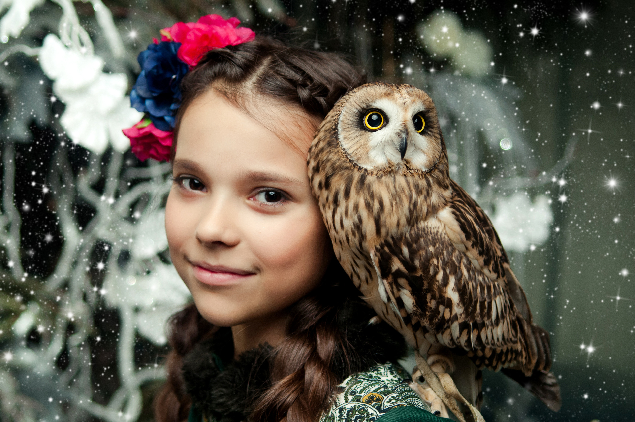 Сова. Главная