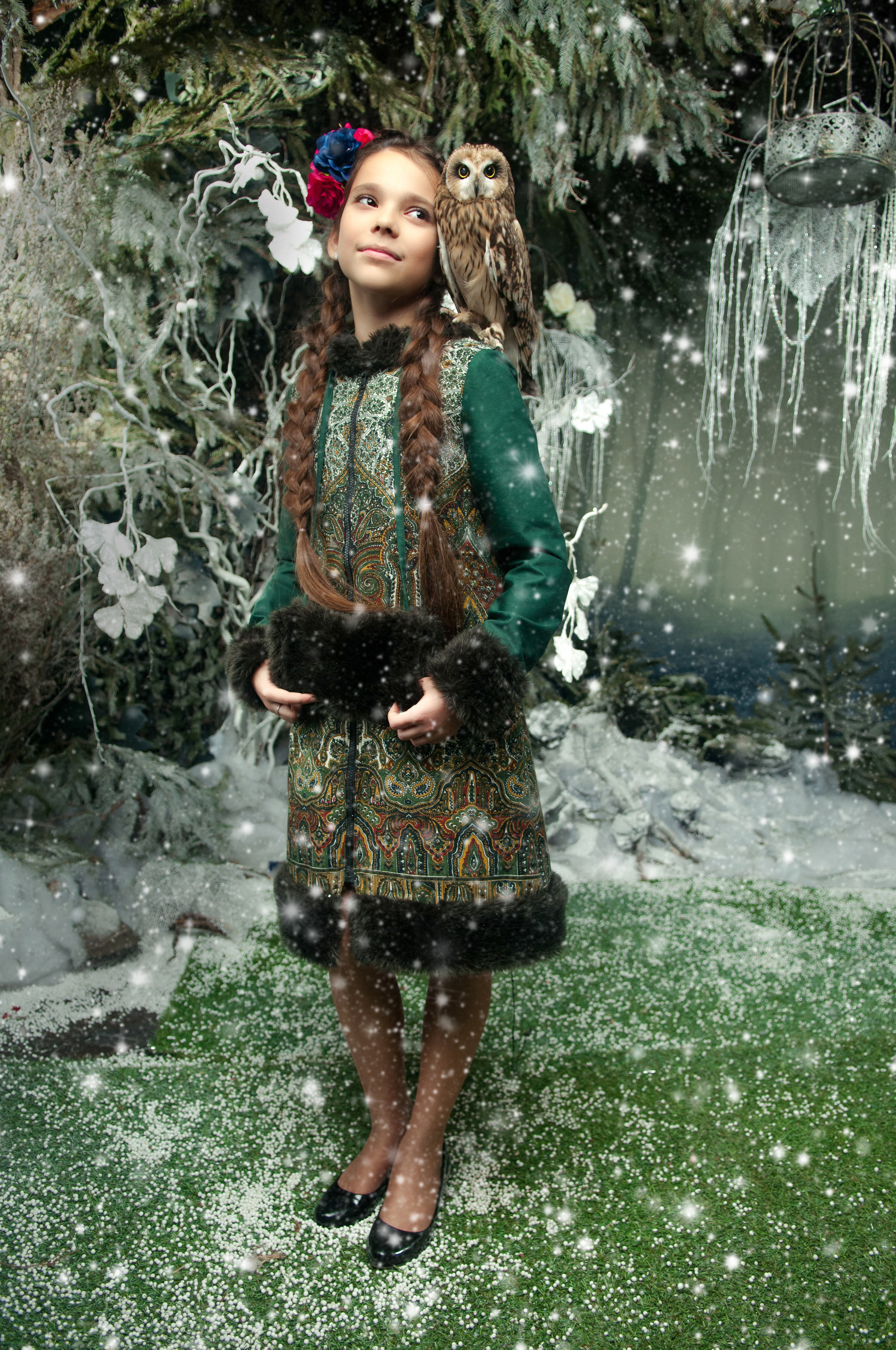 Сова. Главная