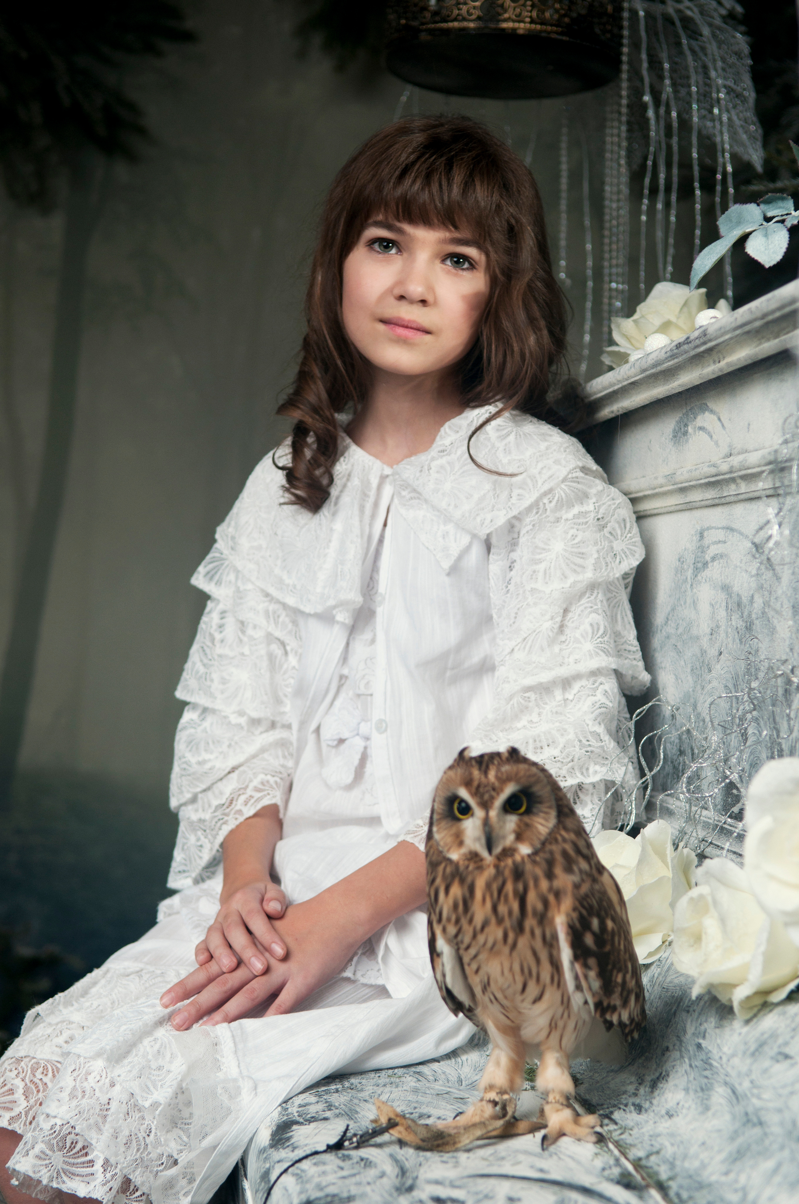 Сова. Главная