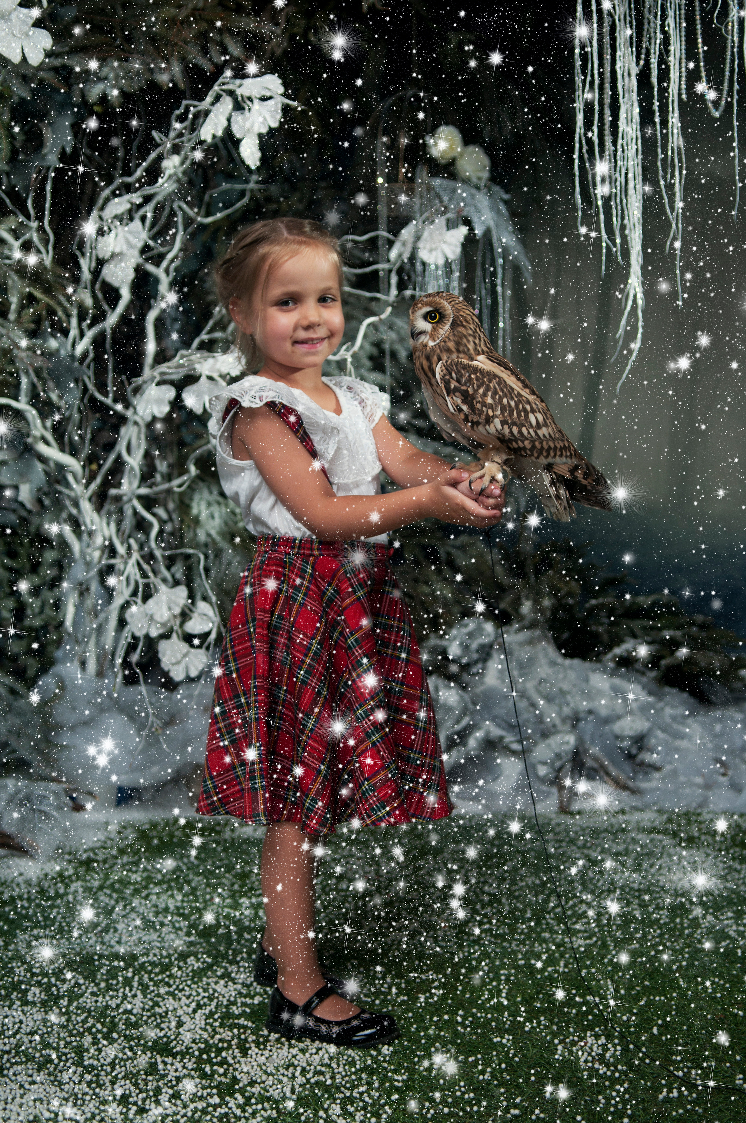 Сова. Главная