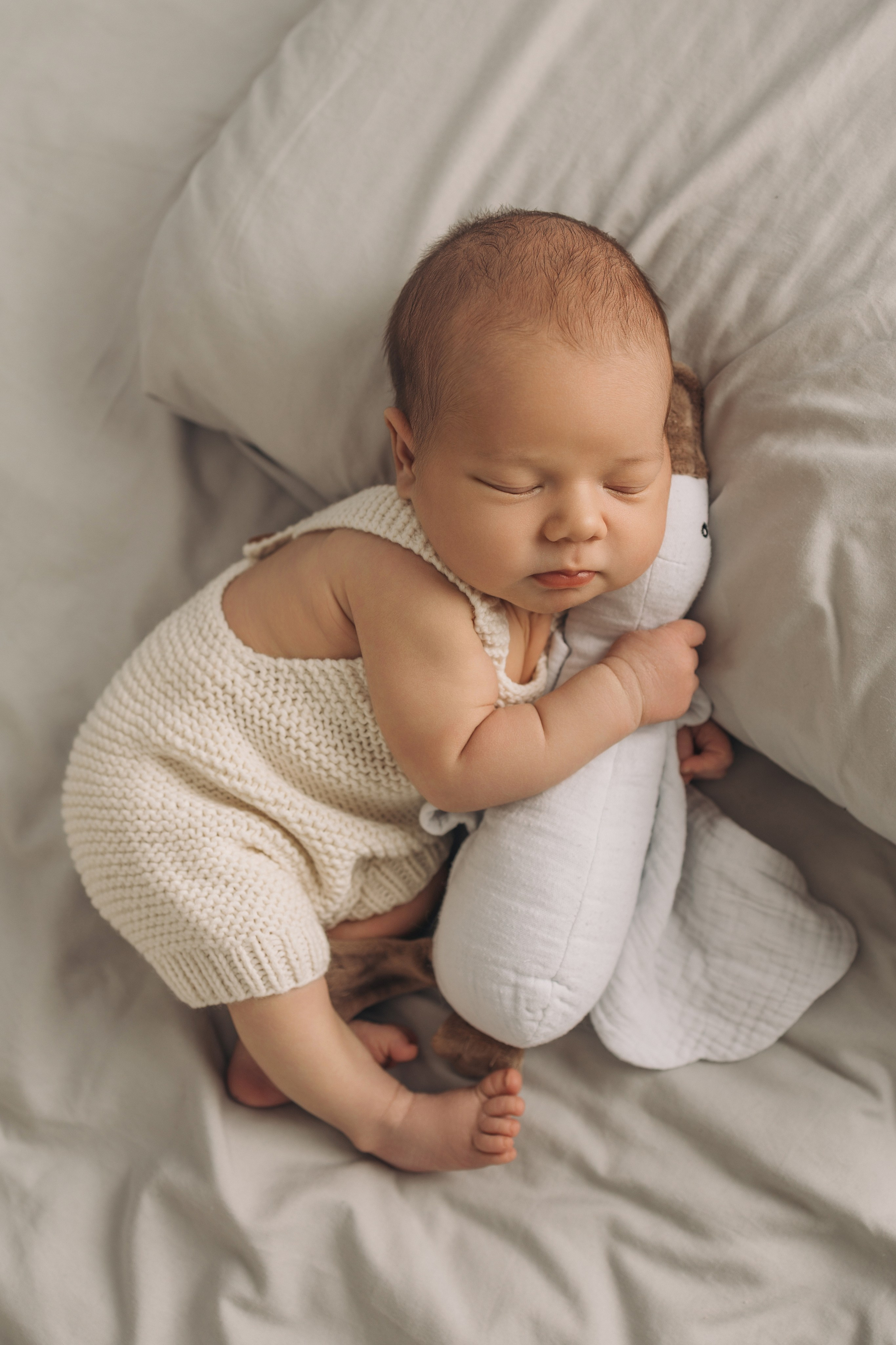 Лев 7 дней. Фотограф новорождённых Newborn Москва