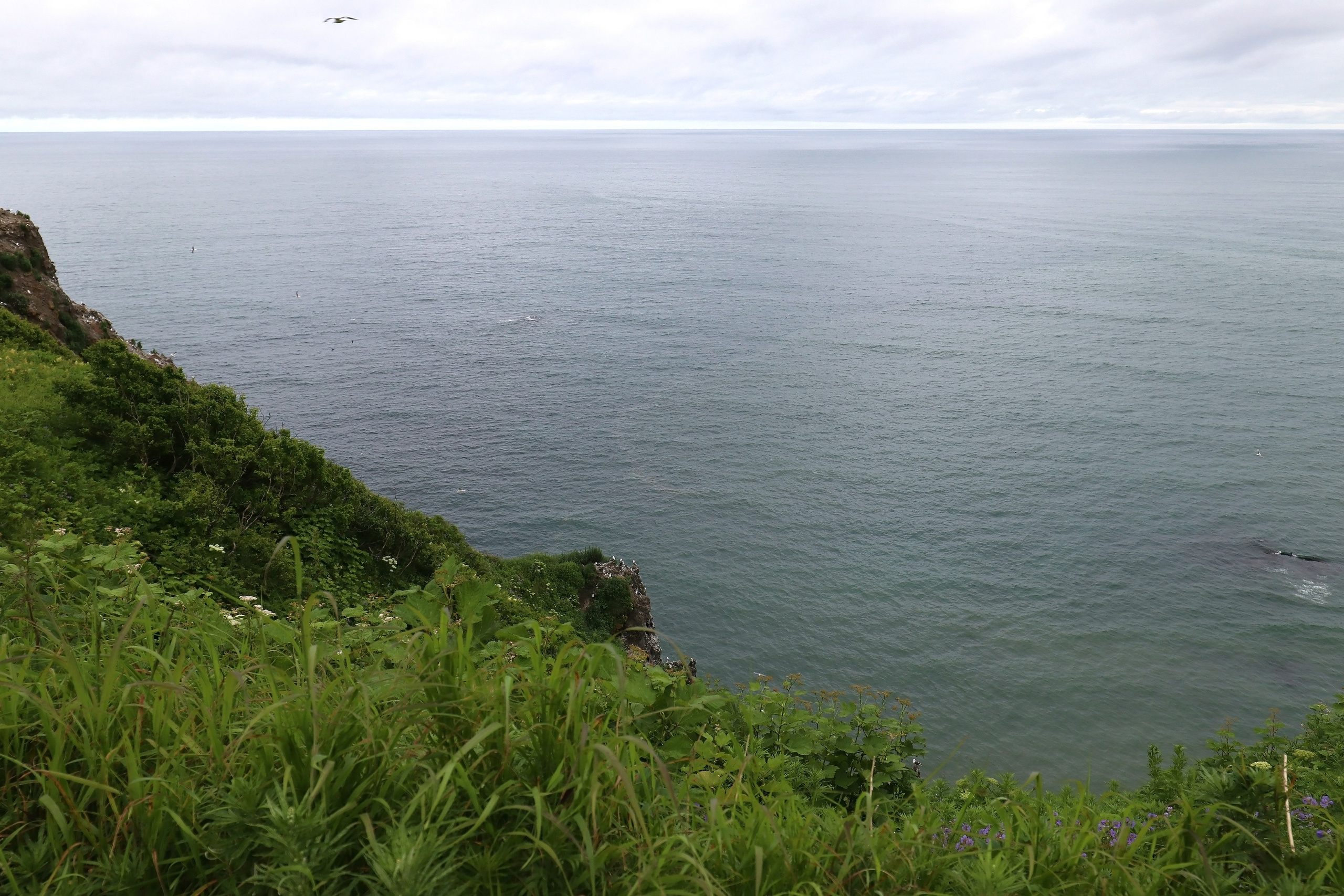 Камчатка и о. Парамушир. Июль 2024. Путешественник-фотограф из Санкт-Петербурга Татьяна Свистулина