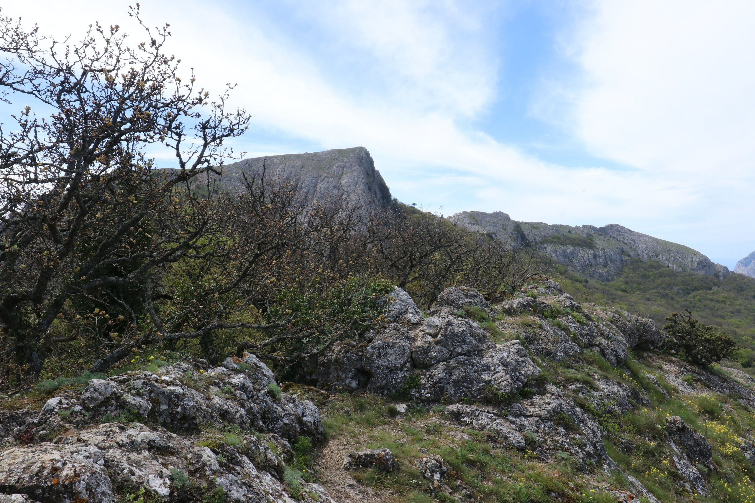 Крым. ЮБК (Севастополь, Кастрополь, Ялта). Май 2023. Путешественник-фотограф из Санкт-Петербурга Татьяна Свистулина