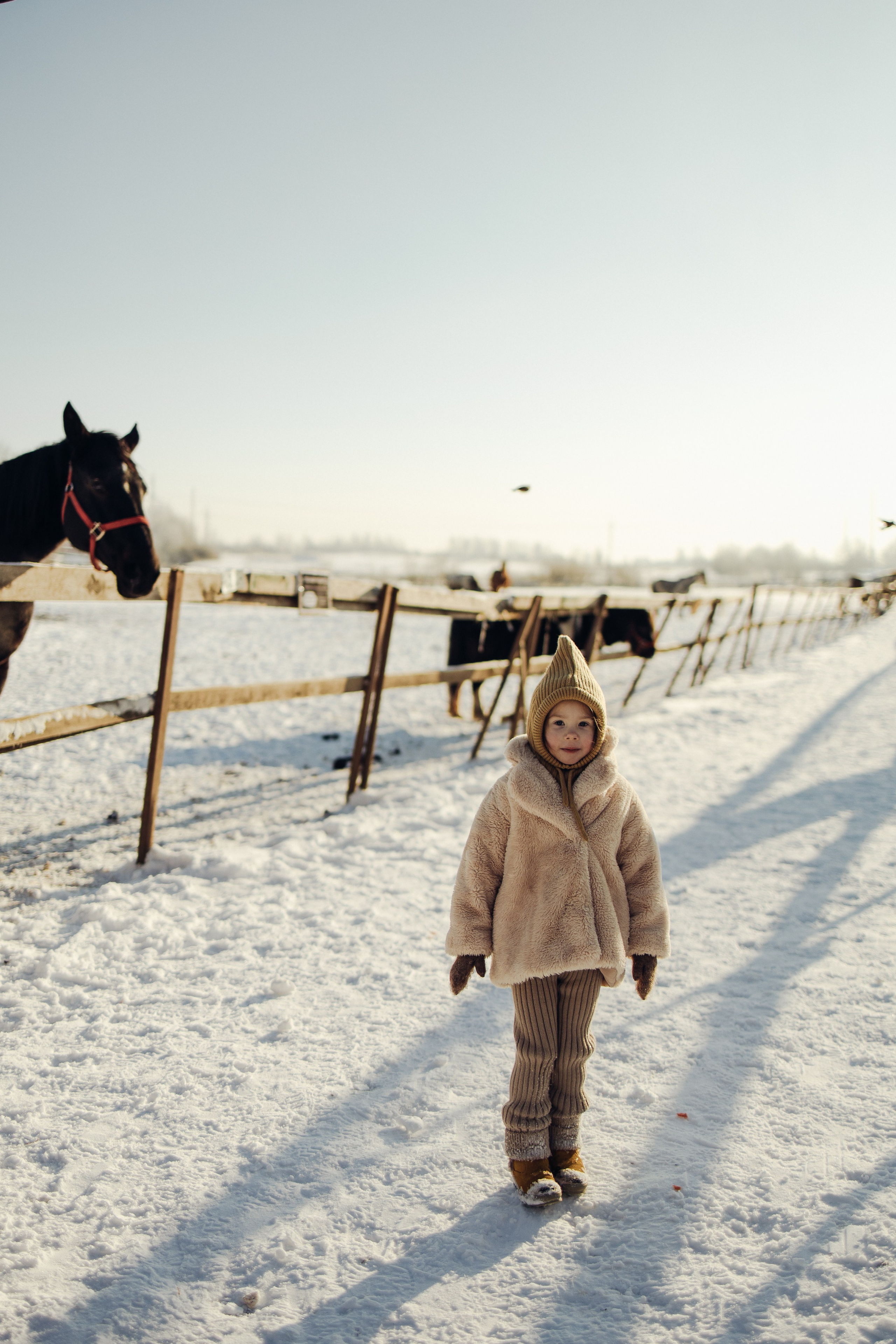 На ранчо. Портретный фотограф в Санкт-Петербурге