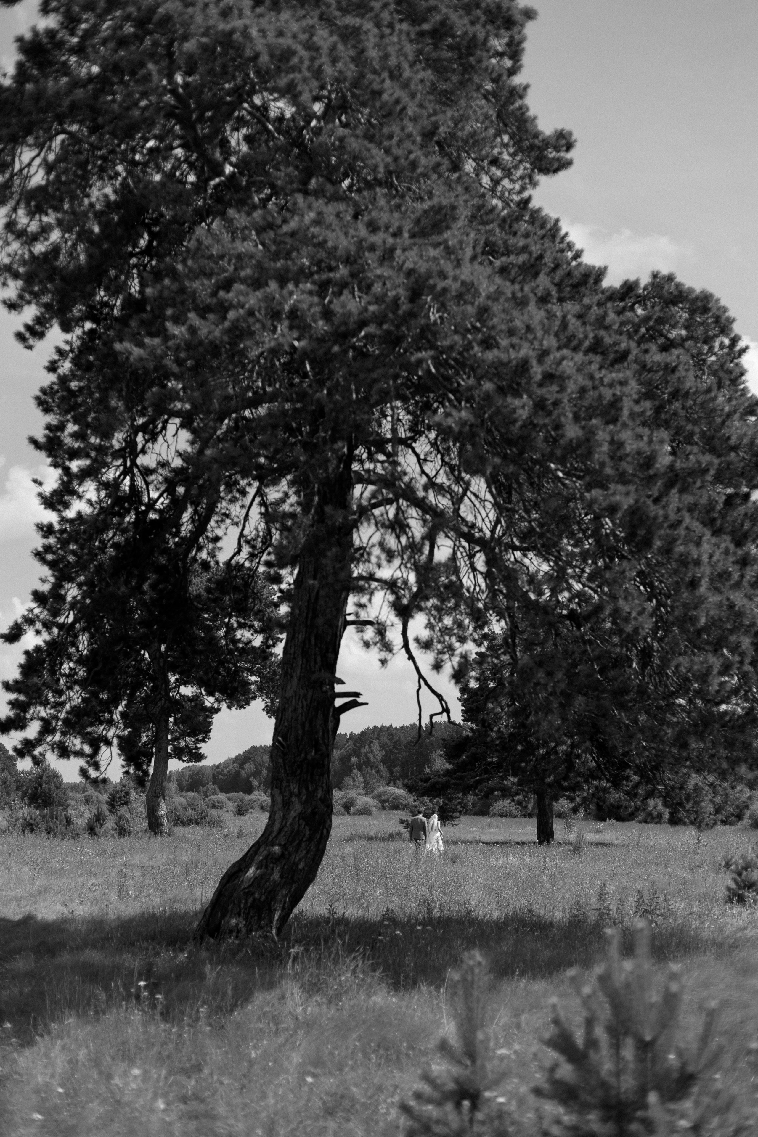 Яков и Вероника. Фотограф Тюмень Пушковская Кристина