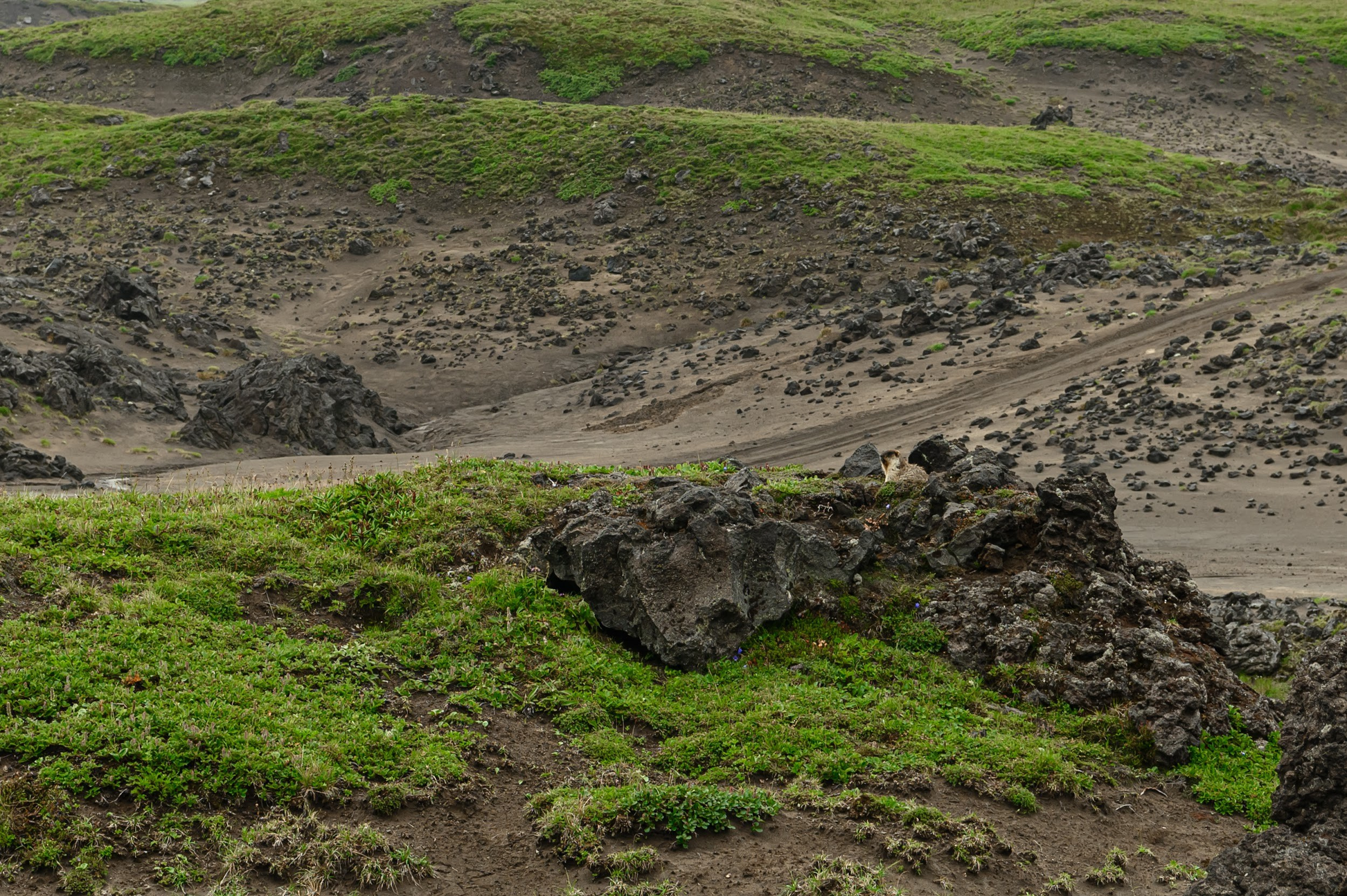 Камчатка 08.2024. Фотограф Марина Росси