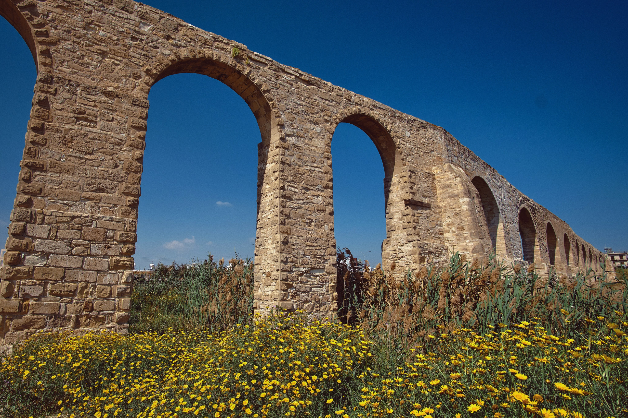 Cyprus / 2023. Aleksandr Kobtsev