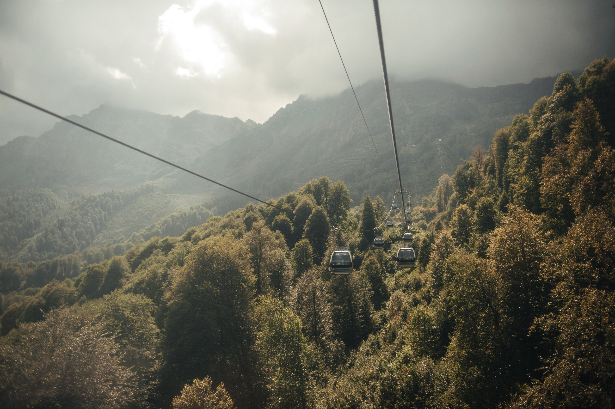 Свадьба 09.09.20. Свадебный фотограф в Ростове-на-Дону Тарасенко Константин