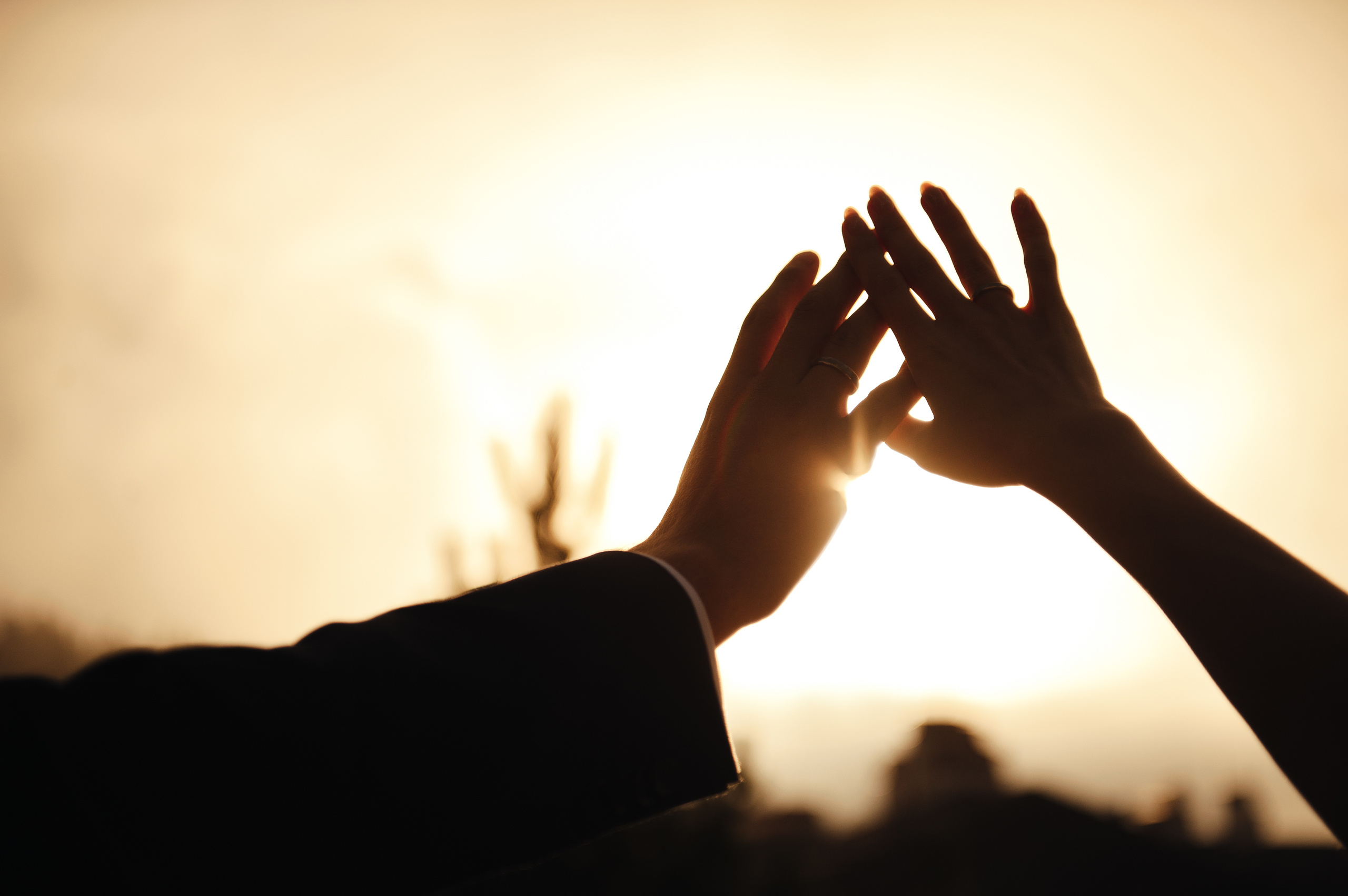 Свадьба 09.09.20. Свадебный фотограф в Ростове-на-Дону Тарасенко Константин