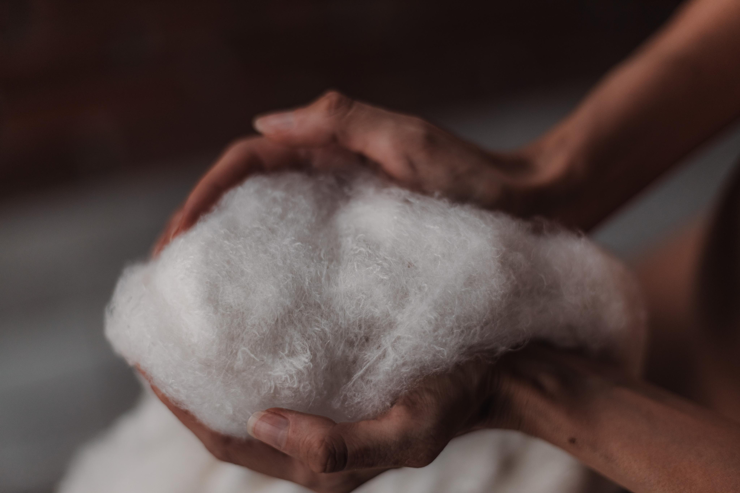 Одеялко шелкопряда. Mariam Bagdasaryan