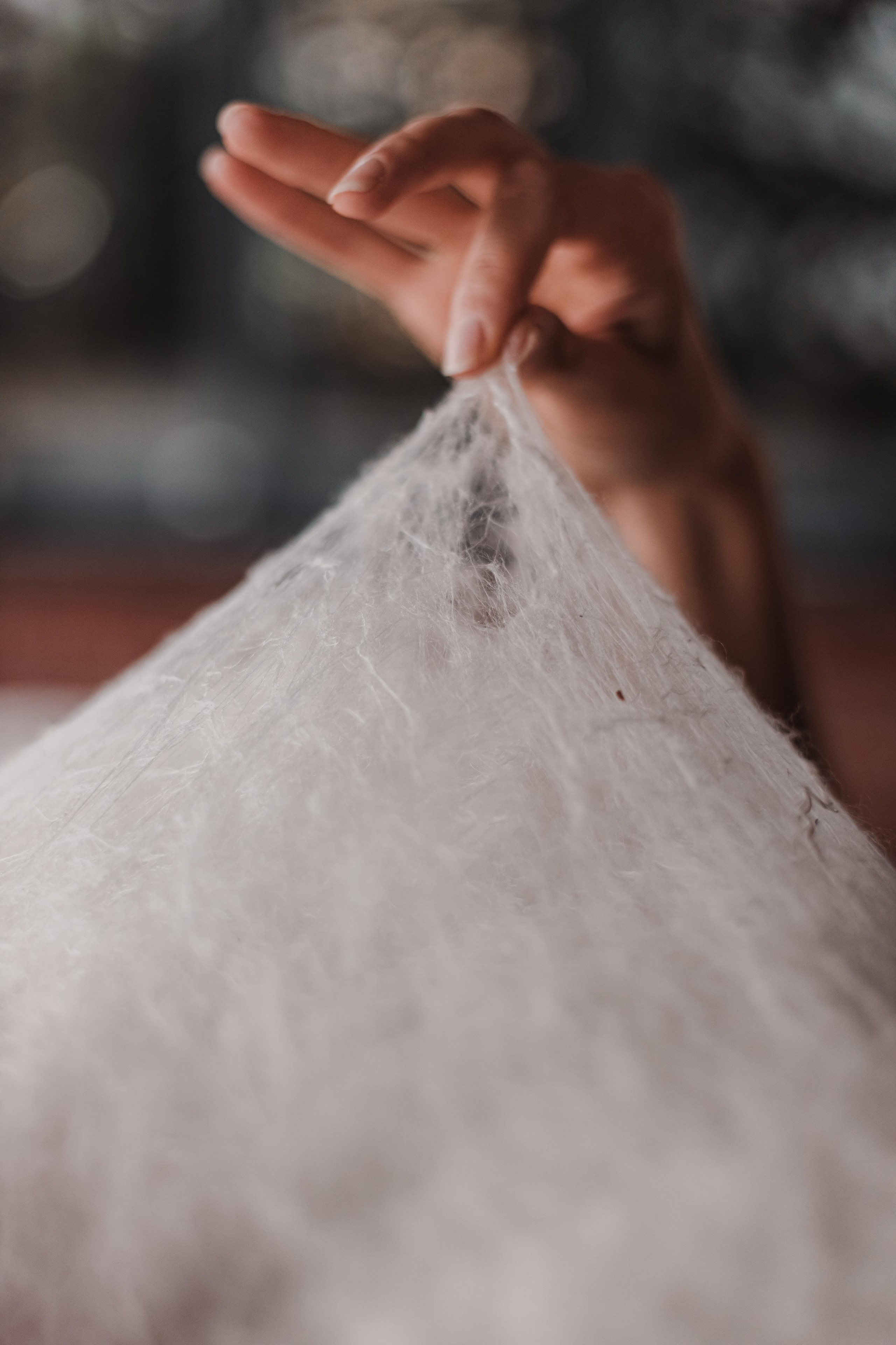 Одеялко шелкопряда. Mariam Bagdasaryan