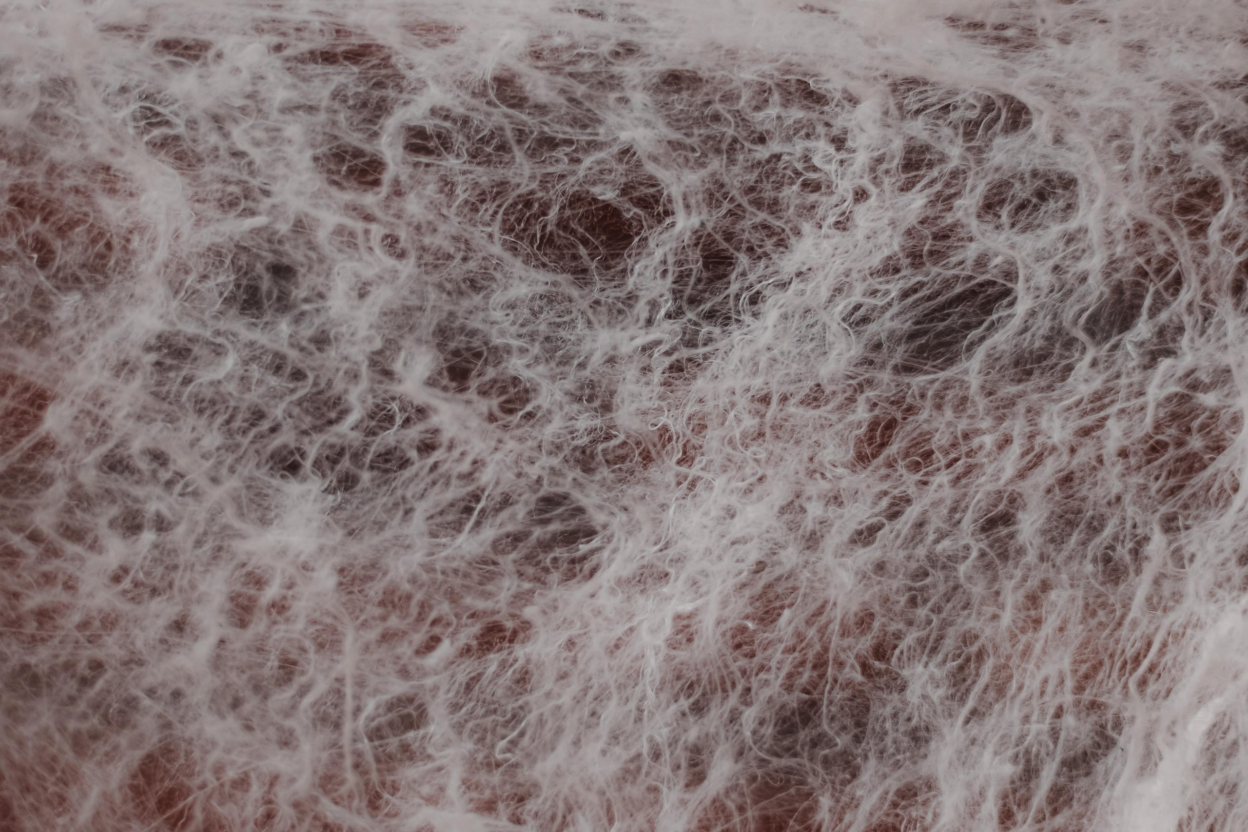 Одеялко шелкопряда. Mariam Bagdasaryan