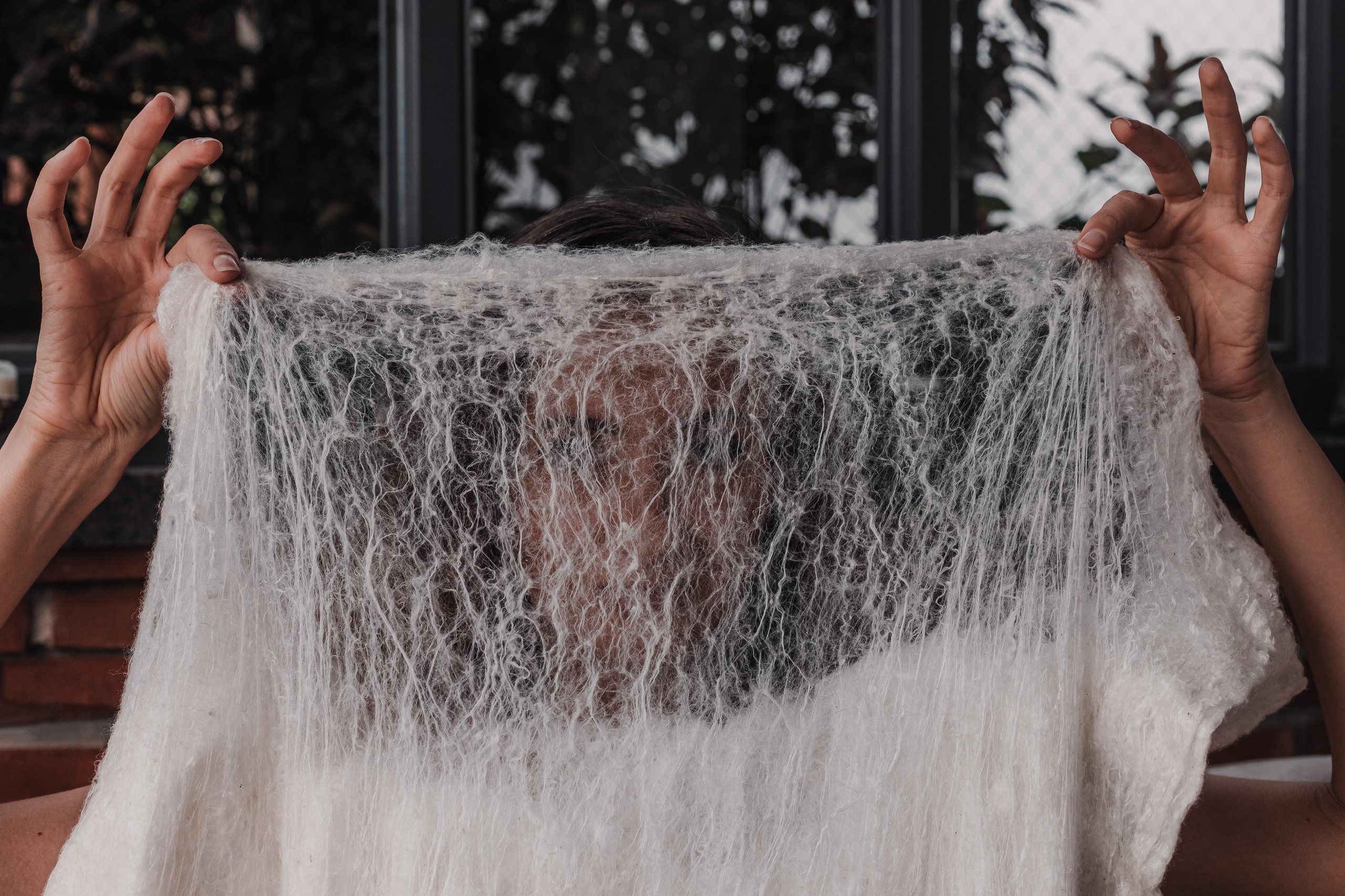 Одеялко шелкопряда. Mariam Bagdasaryan