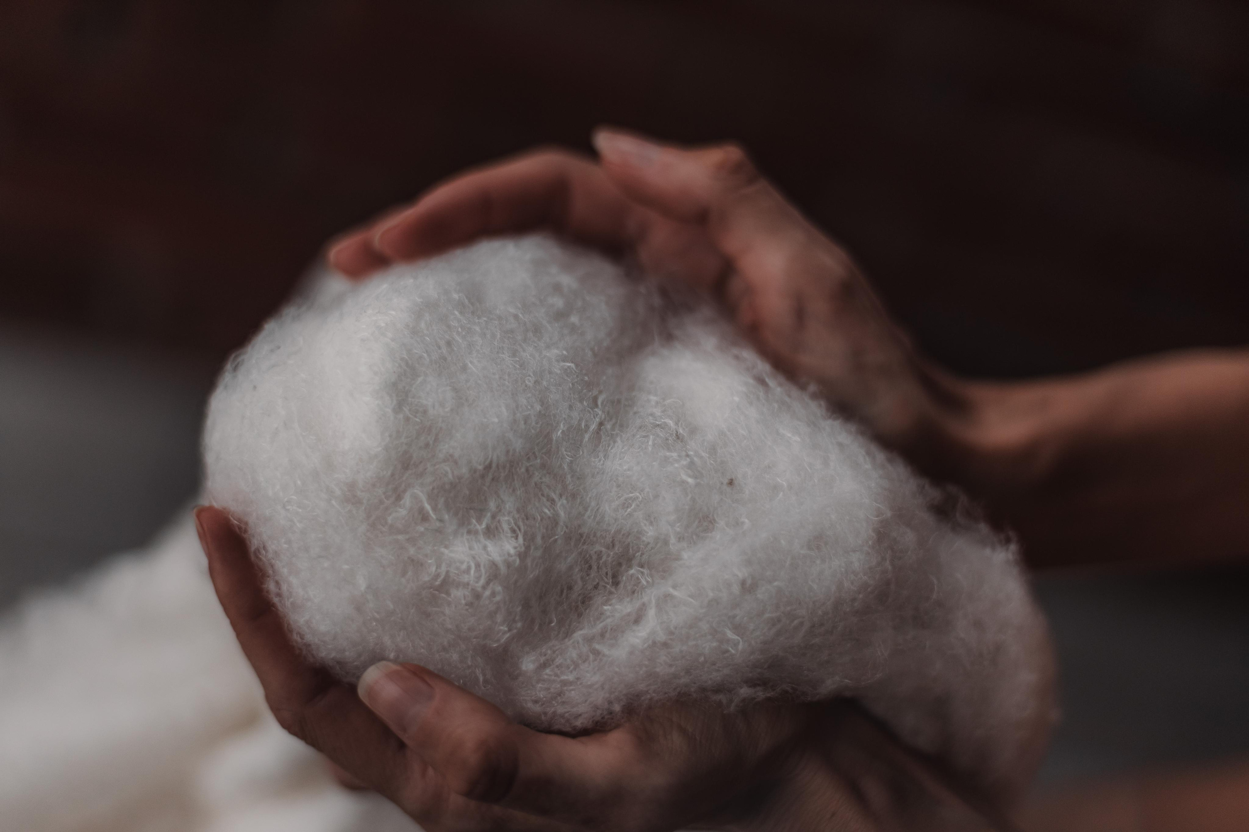 Одеялко шелкопряда. Mariam Bagdasaryan