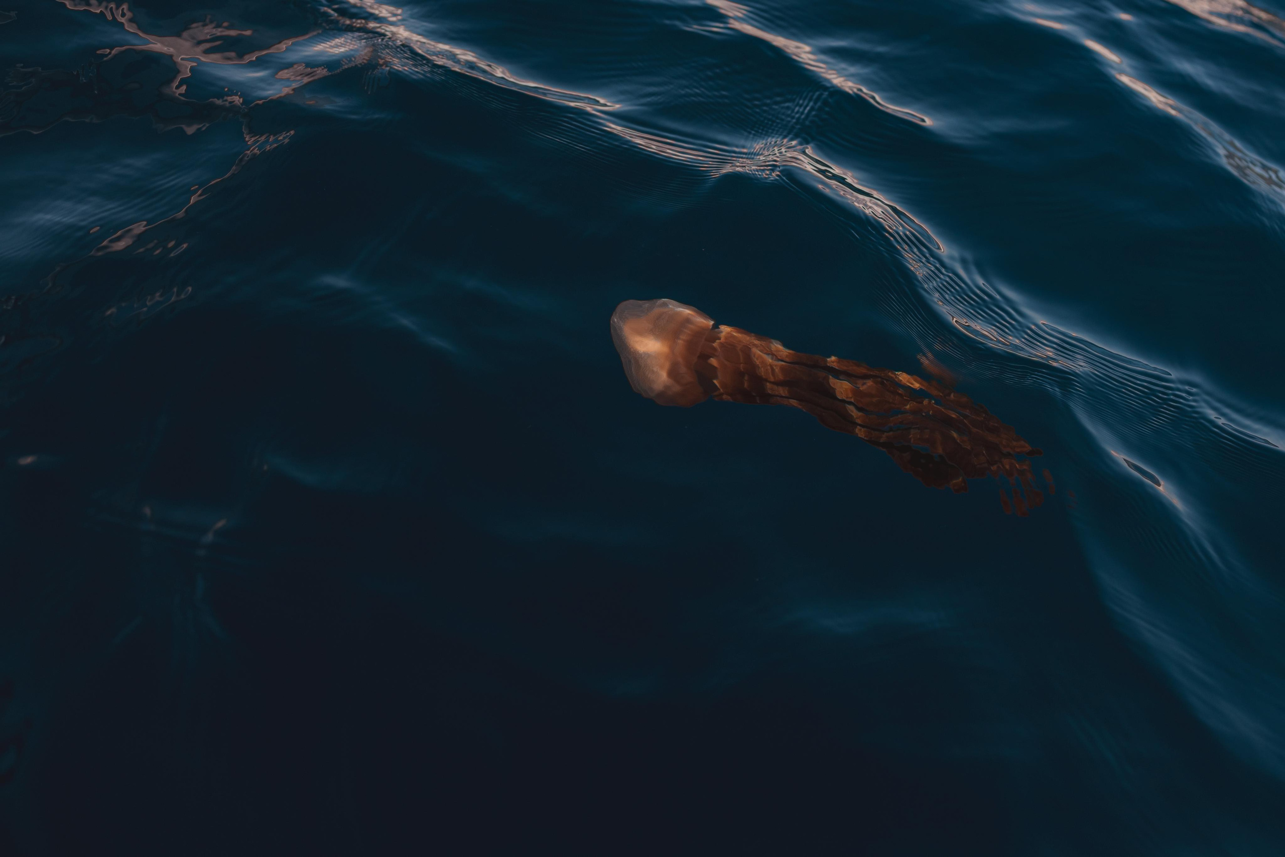 Сати Этника Рассвет. Mariam Bagdasaryan