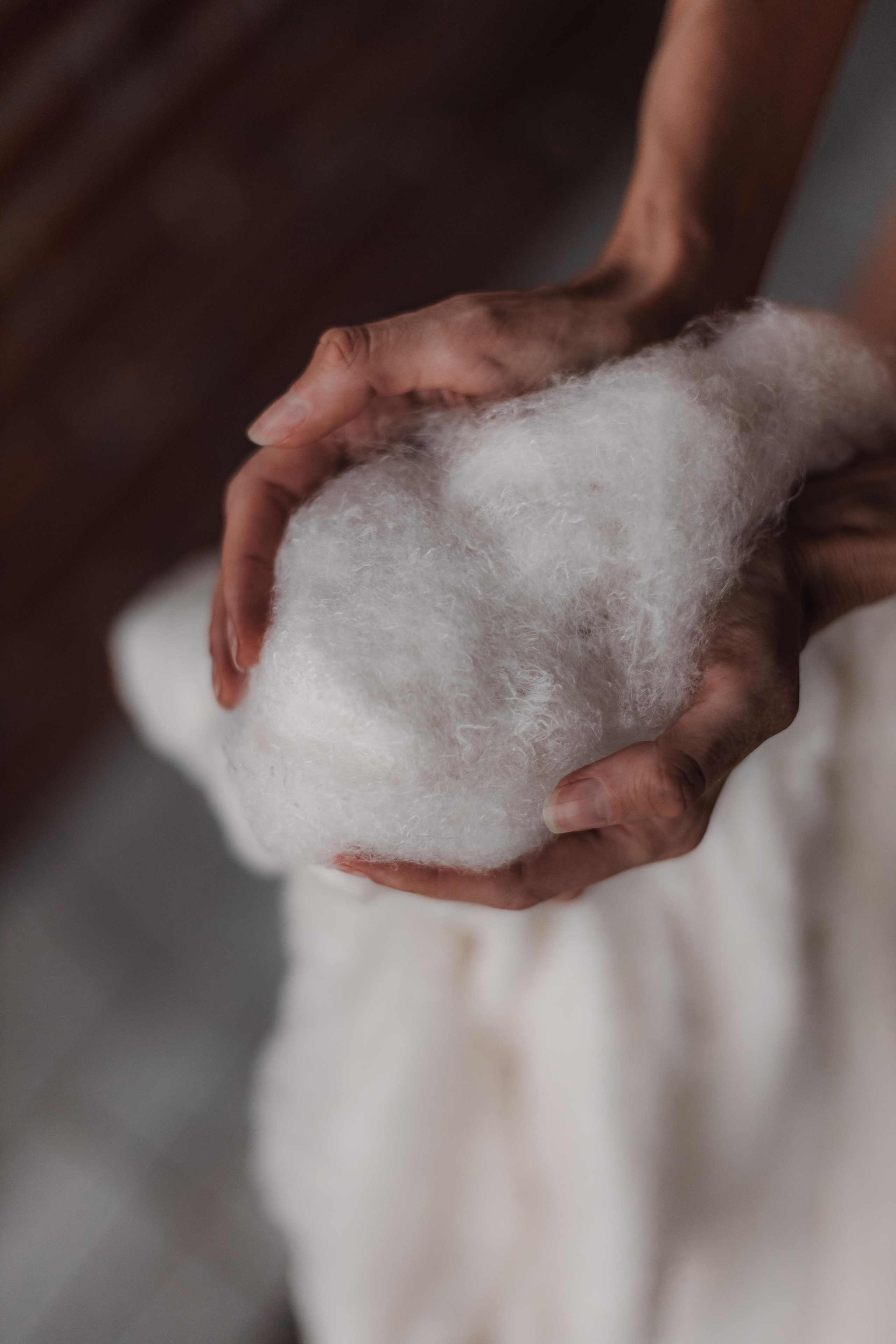 Одеялко шелкопряда. Mariam Bagdasaryan