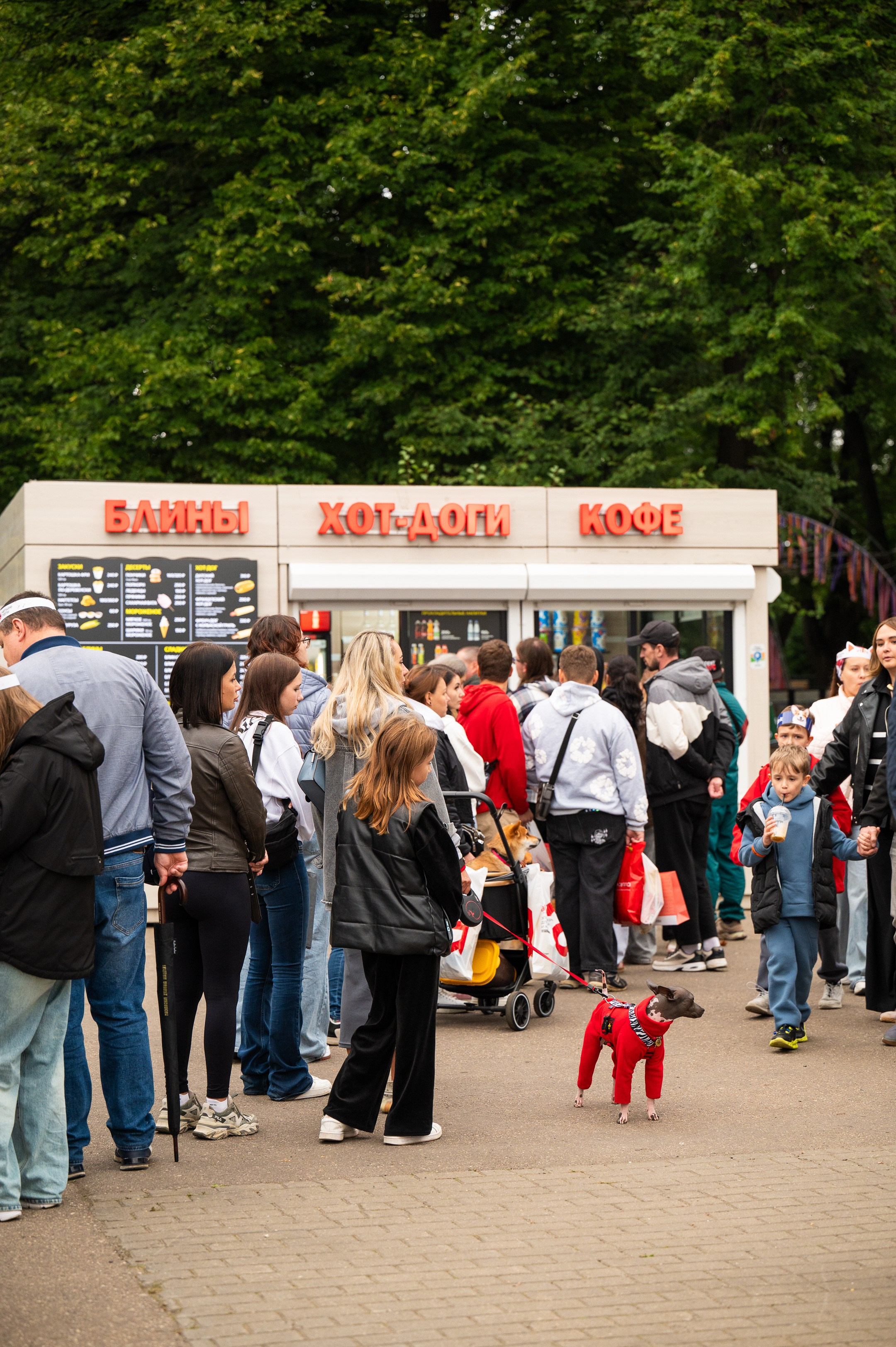 4lapy fest 2025. Photographer in Moscow Anna Chistiakova